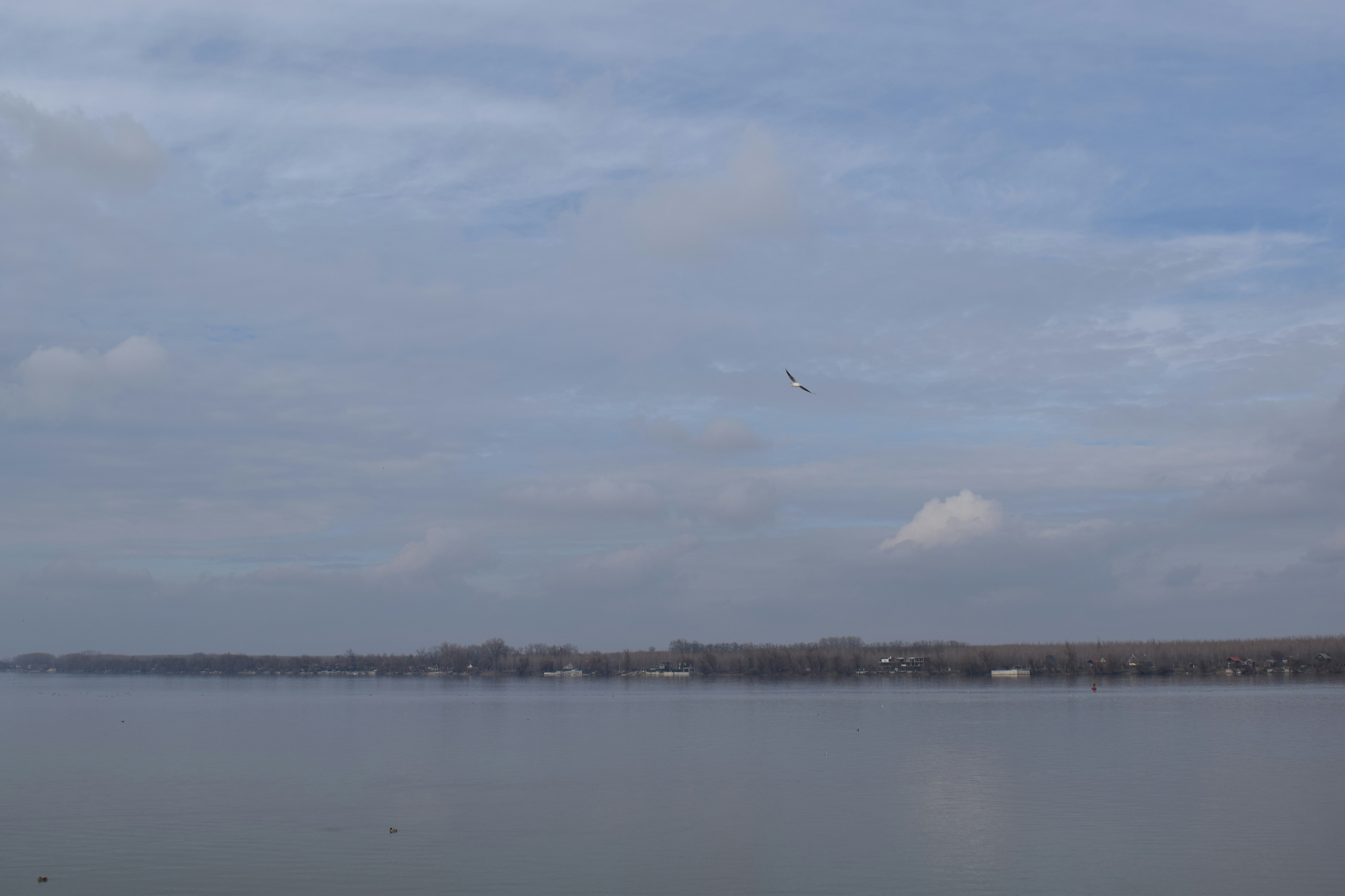 Calm lake with a cloudy sky and distant trees.