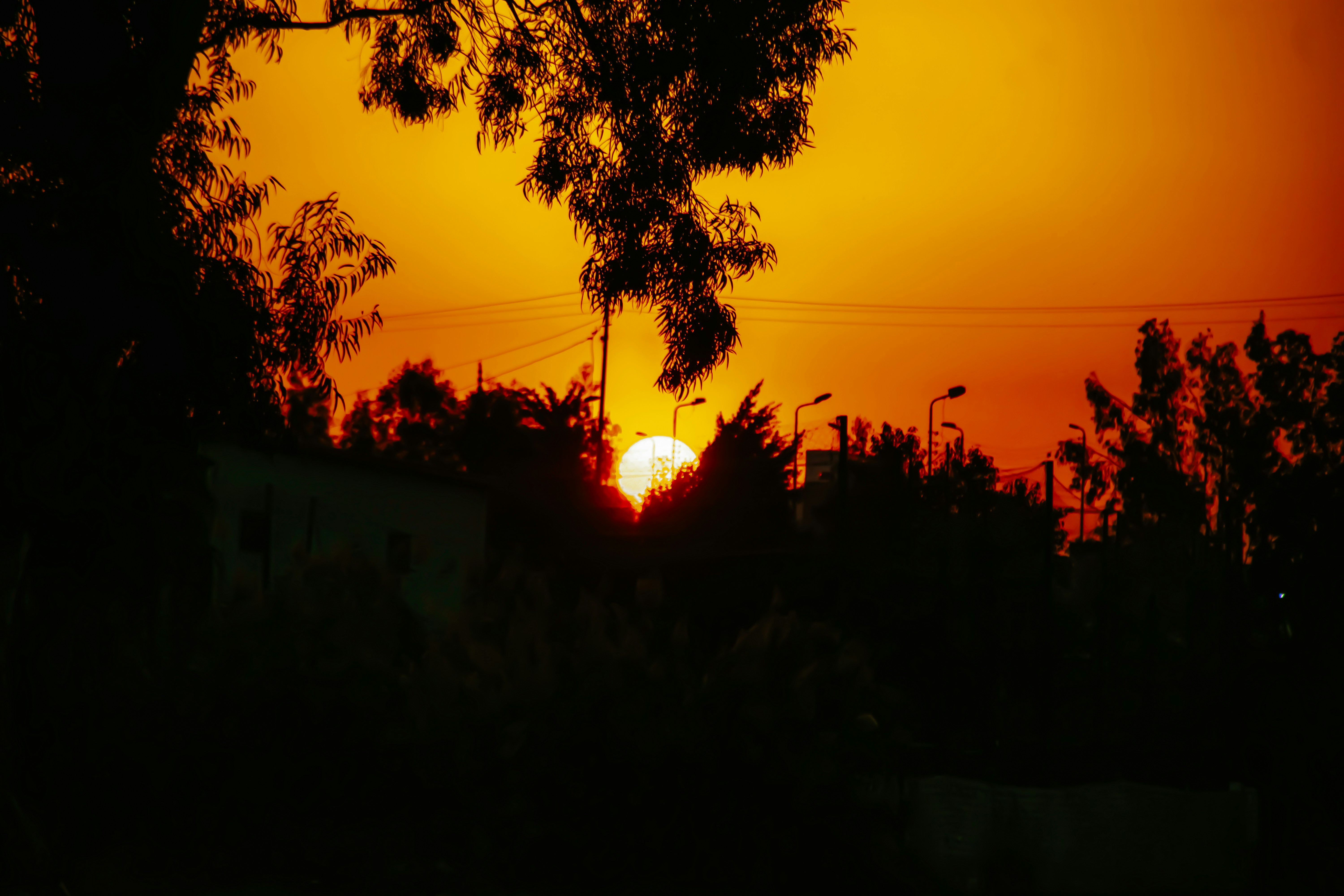 Fiery sunset behind silhouetted trees and buildings