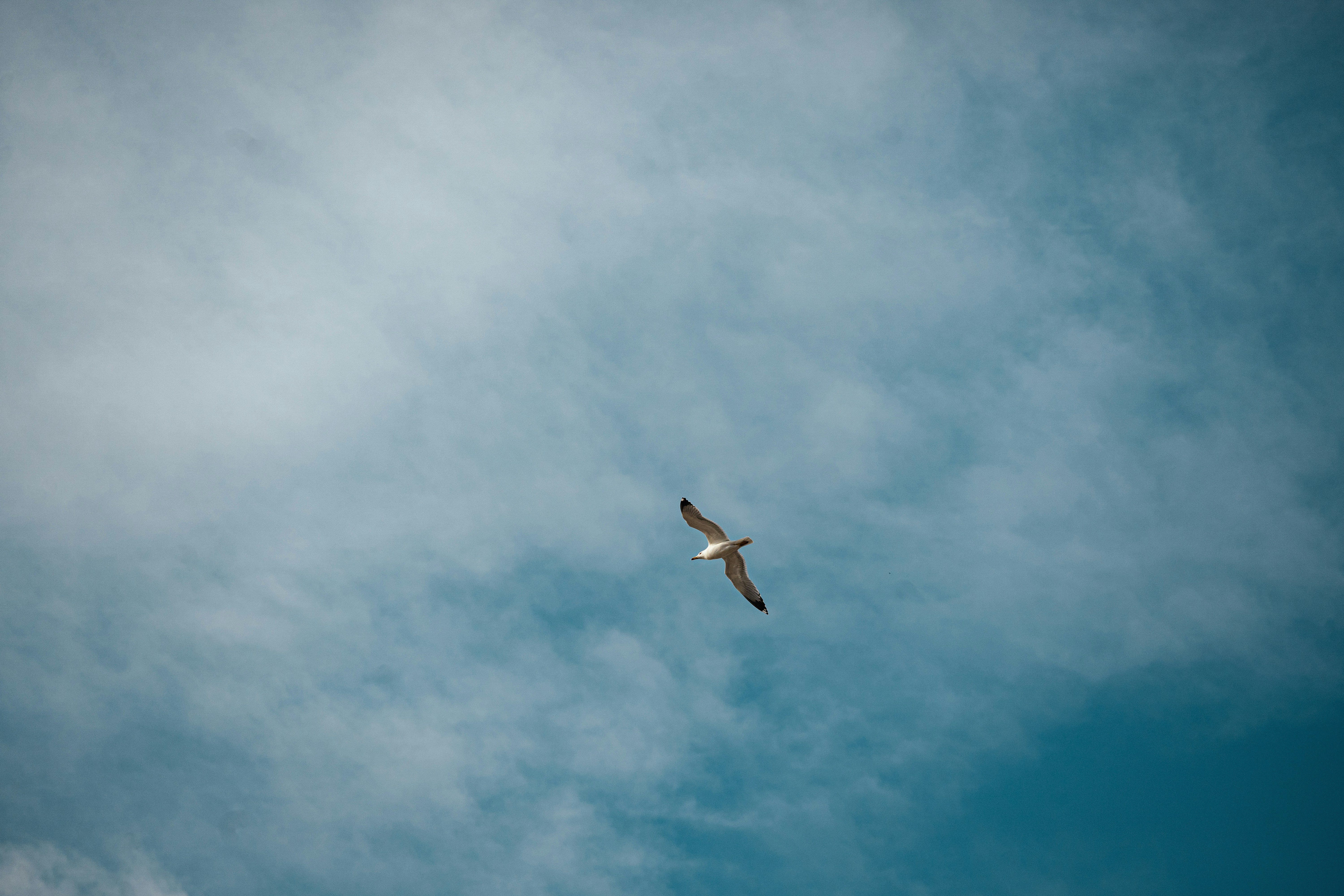 Photo by paulpastourmatzis