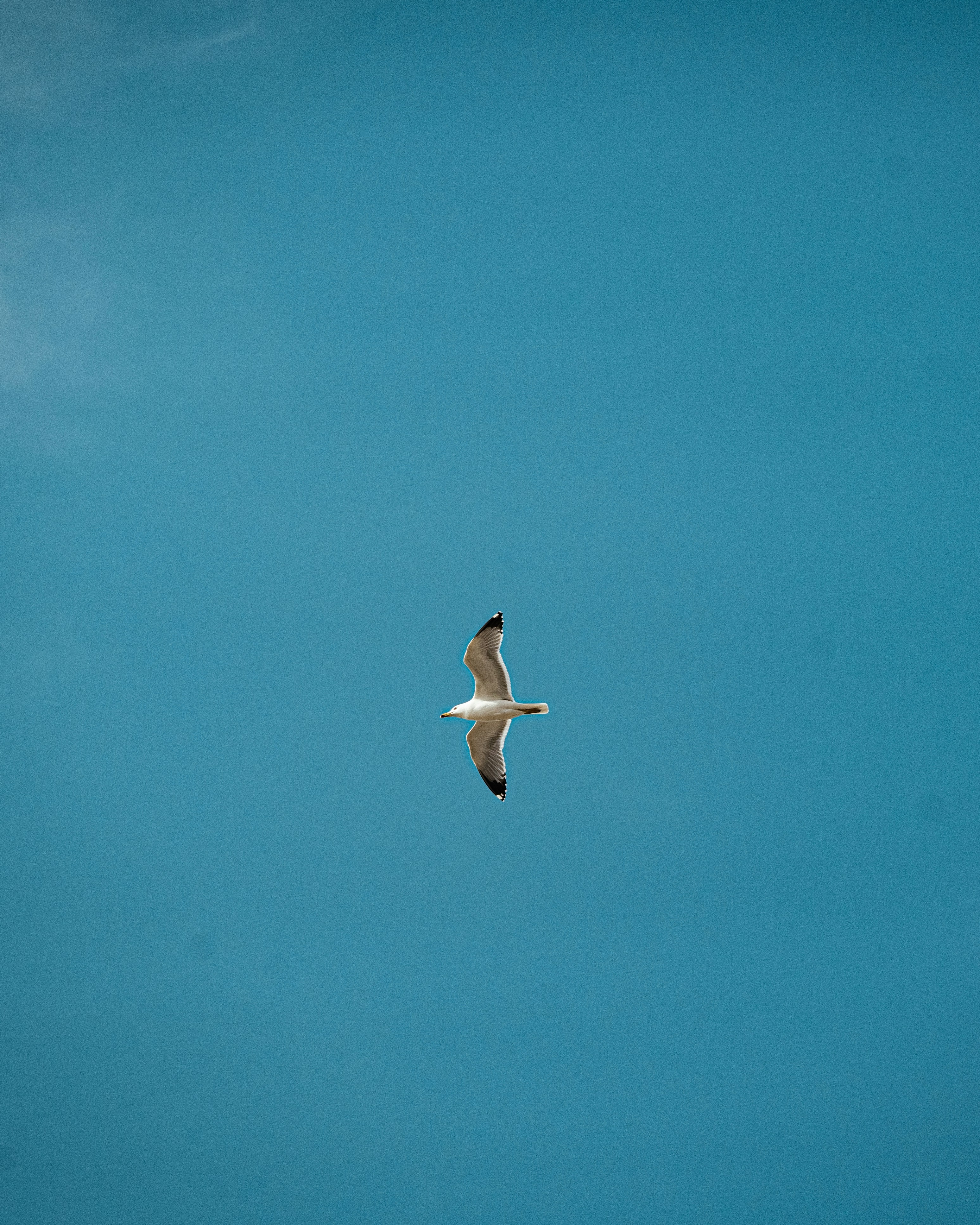 Photo by paulpastourmatzis