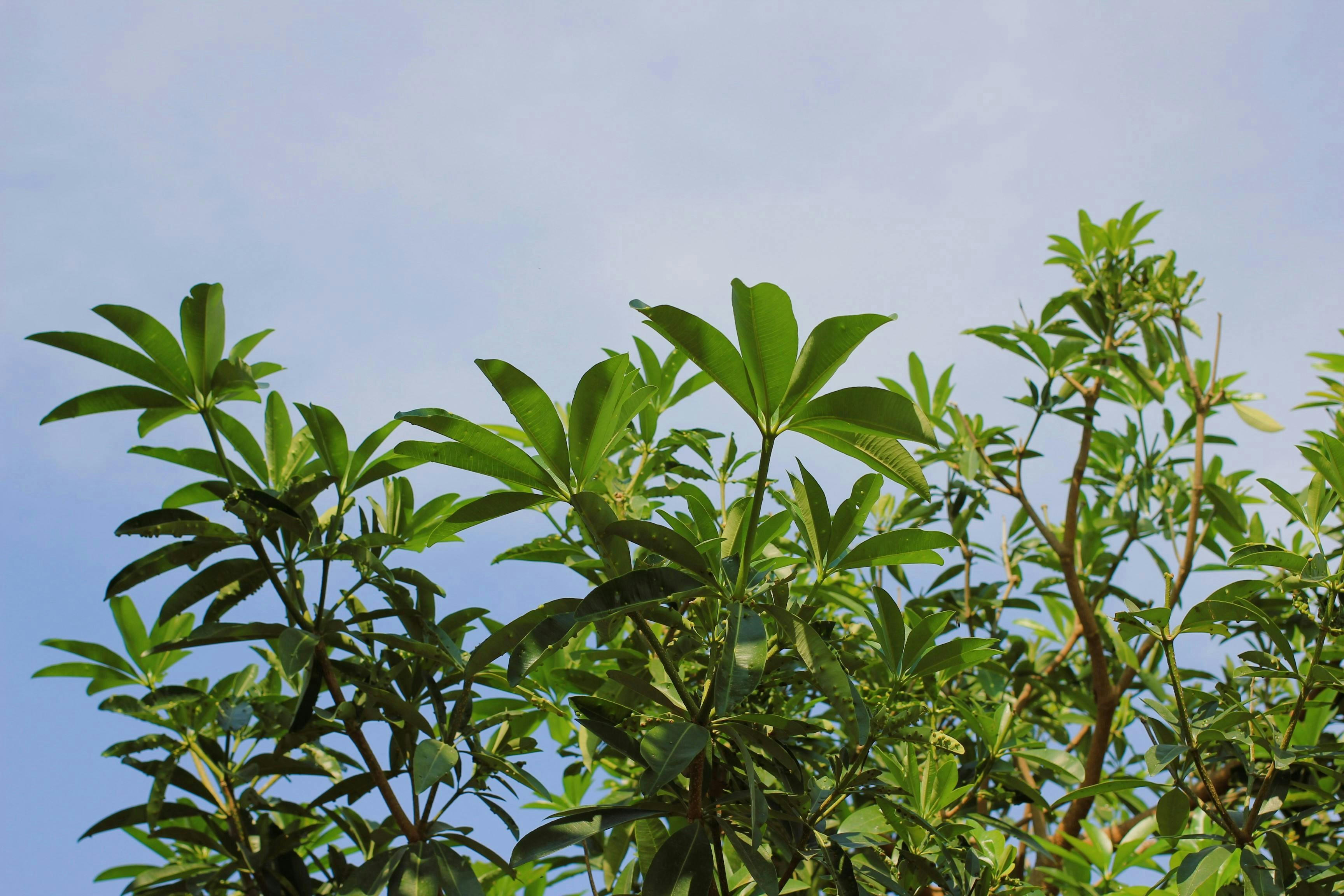 Photo by chirayu550d