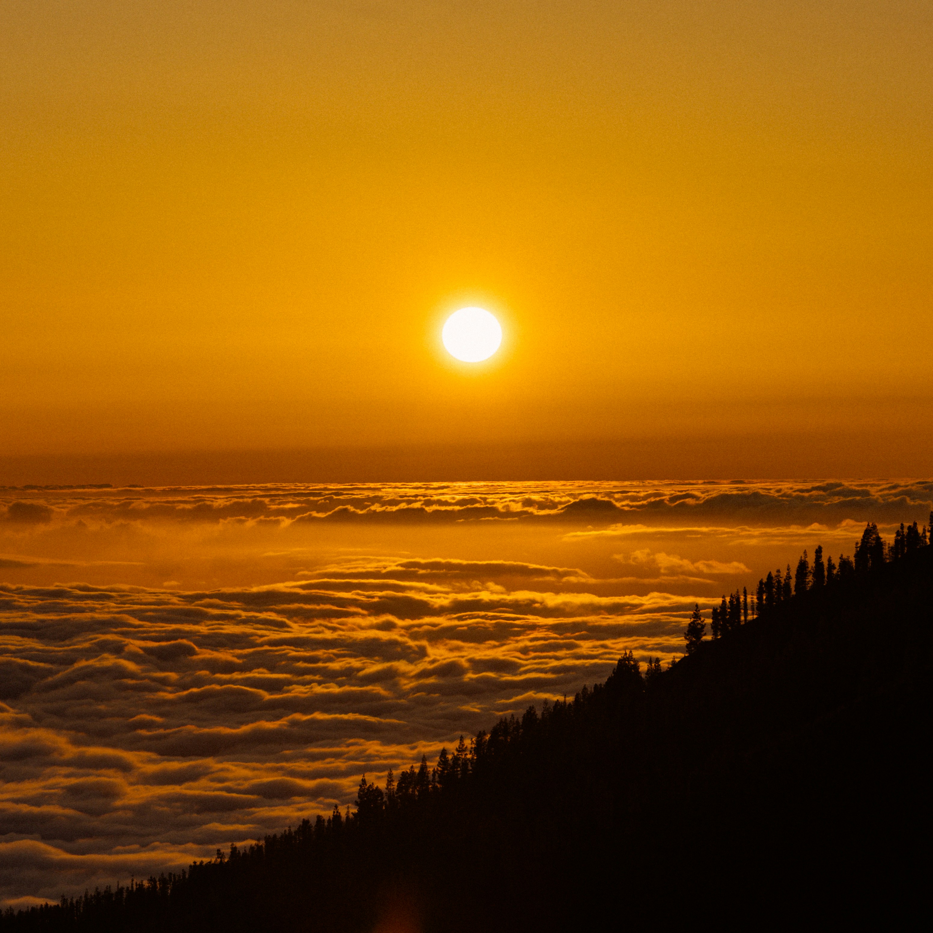 Photo by alexsafareli