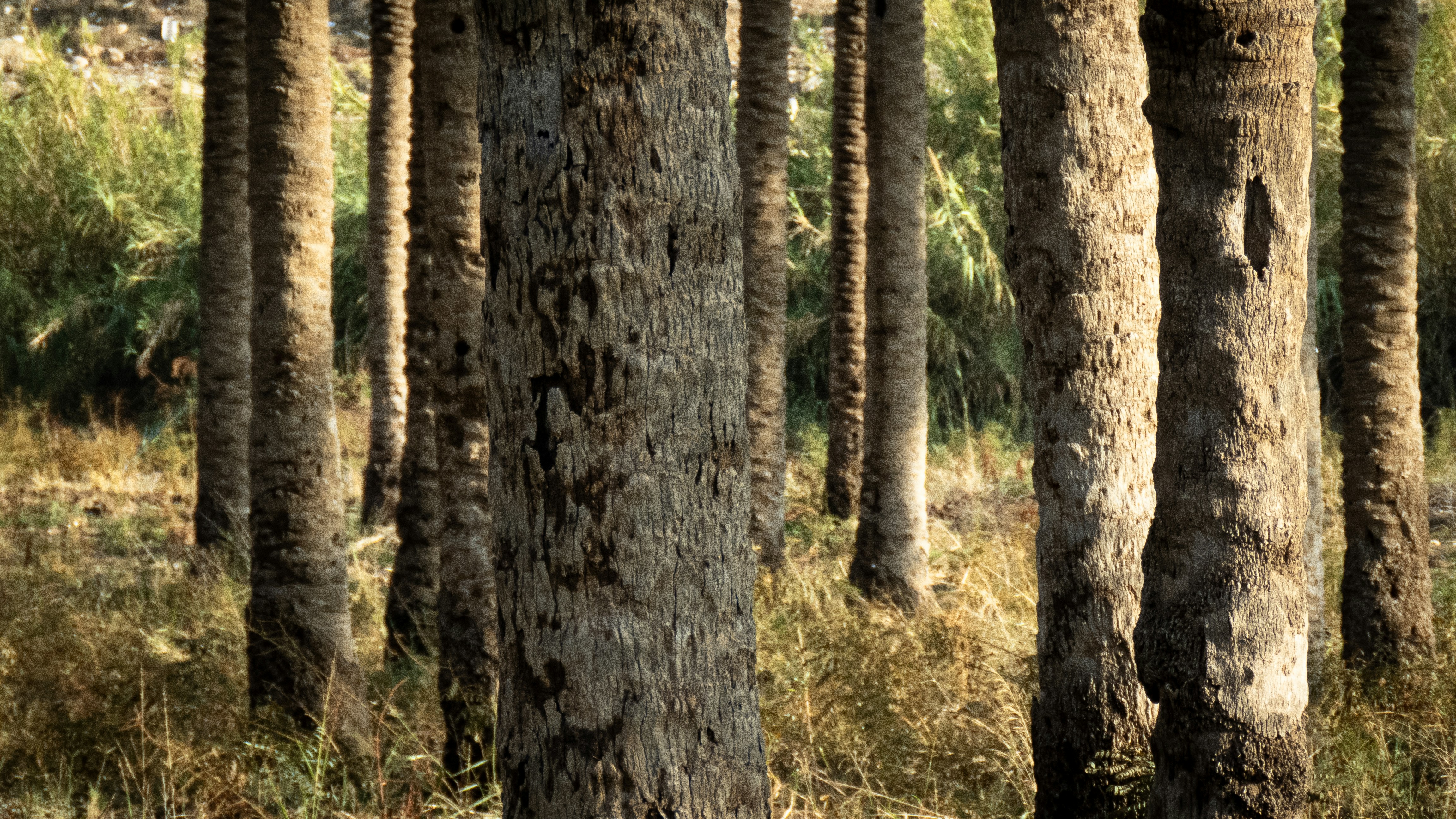 Photo by sinamoshtaghi