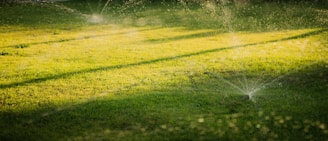 Sprinklers watering a green lawn at sunset.