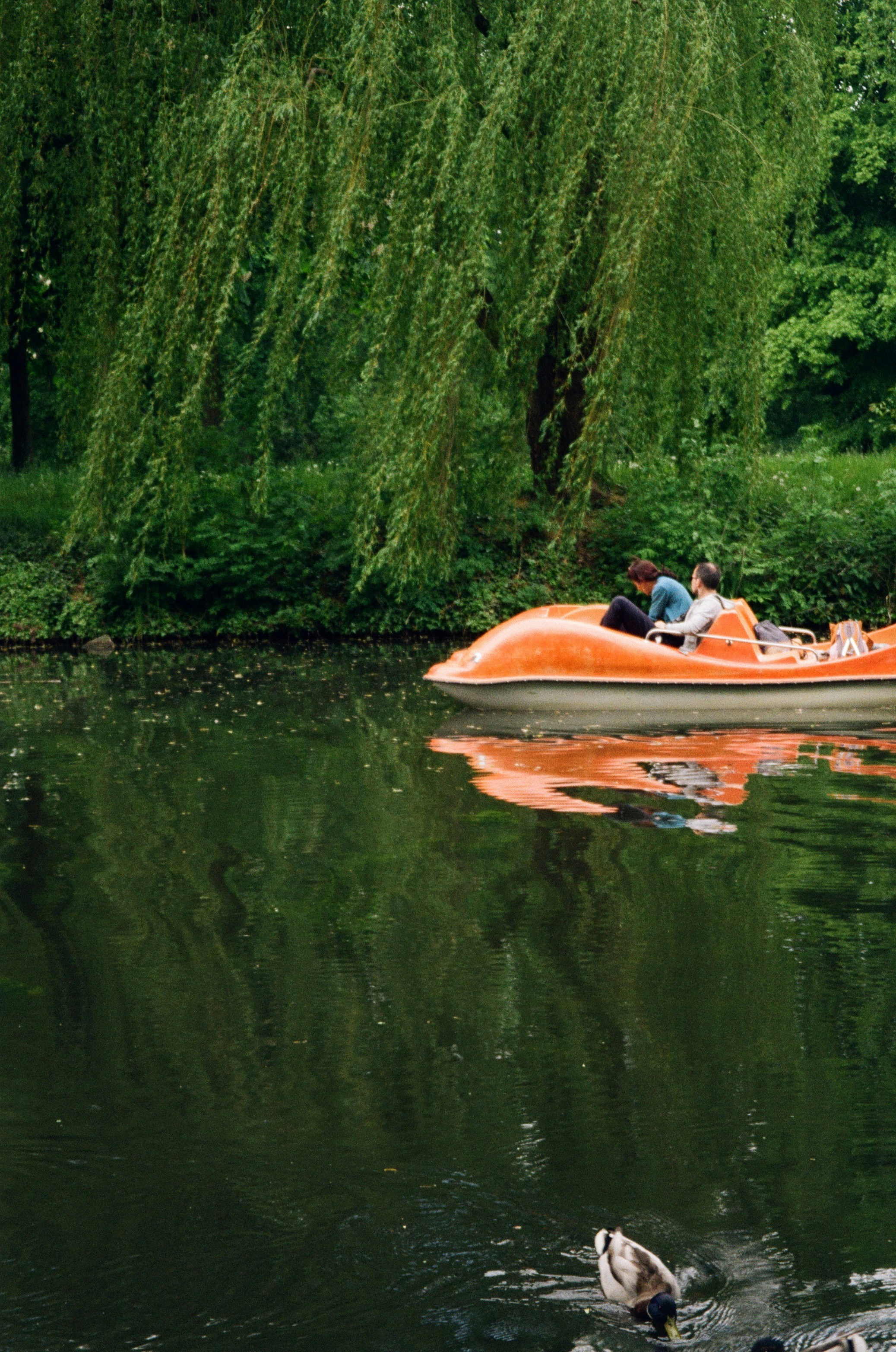 Photo by _kseniademenko