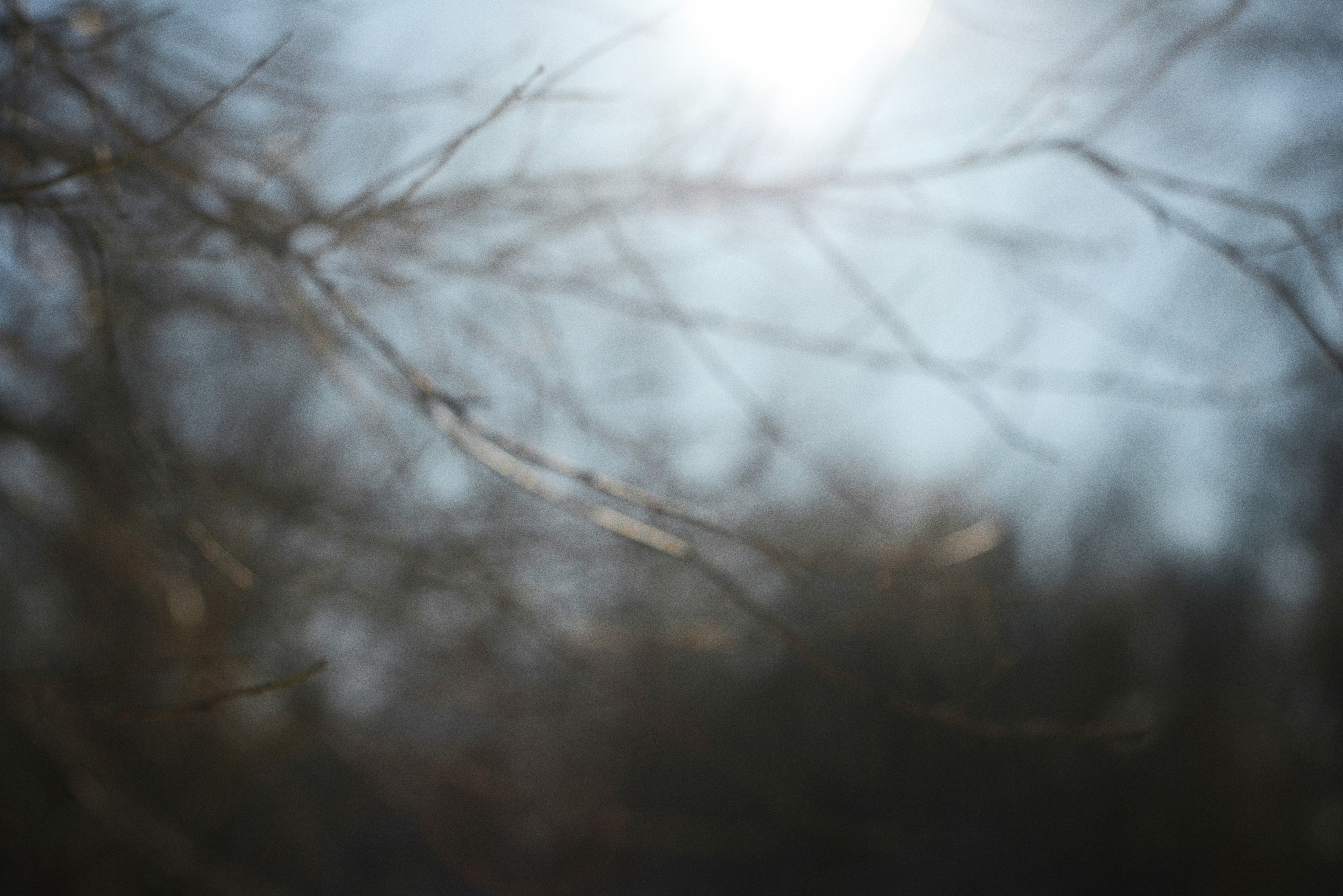 Photo by cherstve_pechivo