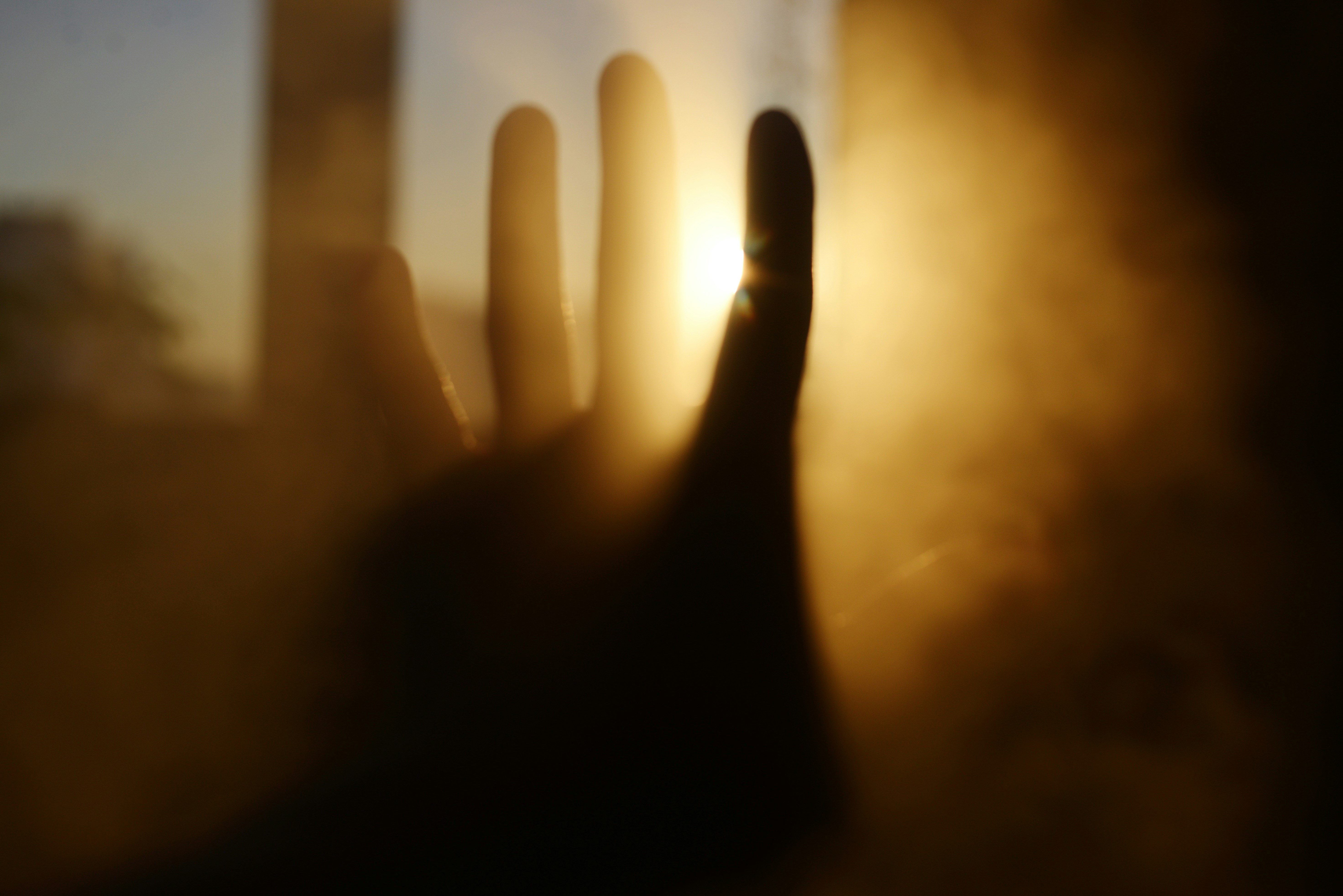 Photo by cherstve_pechivo