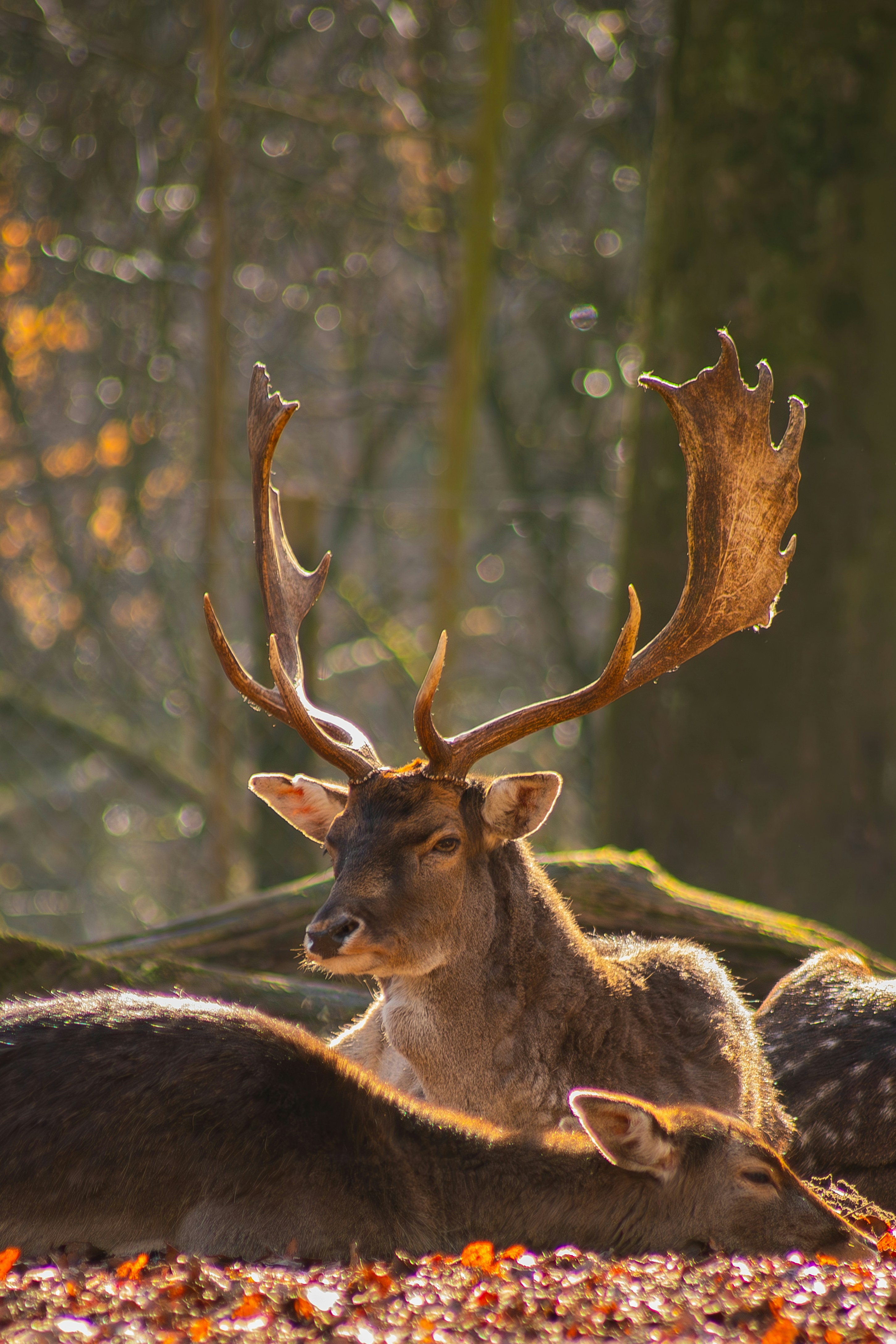 Photo by kemalberkaydogan