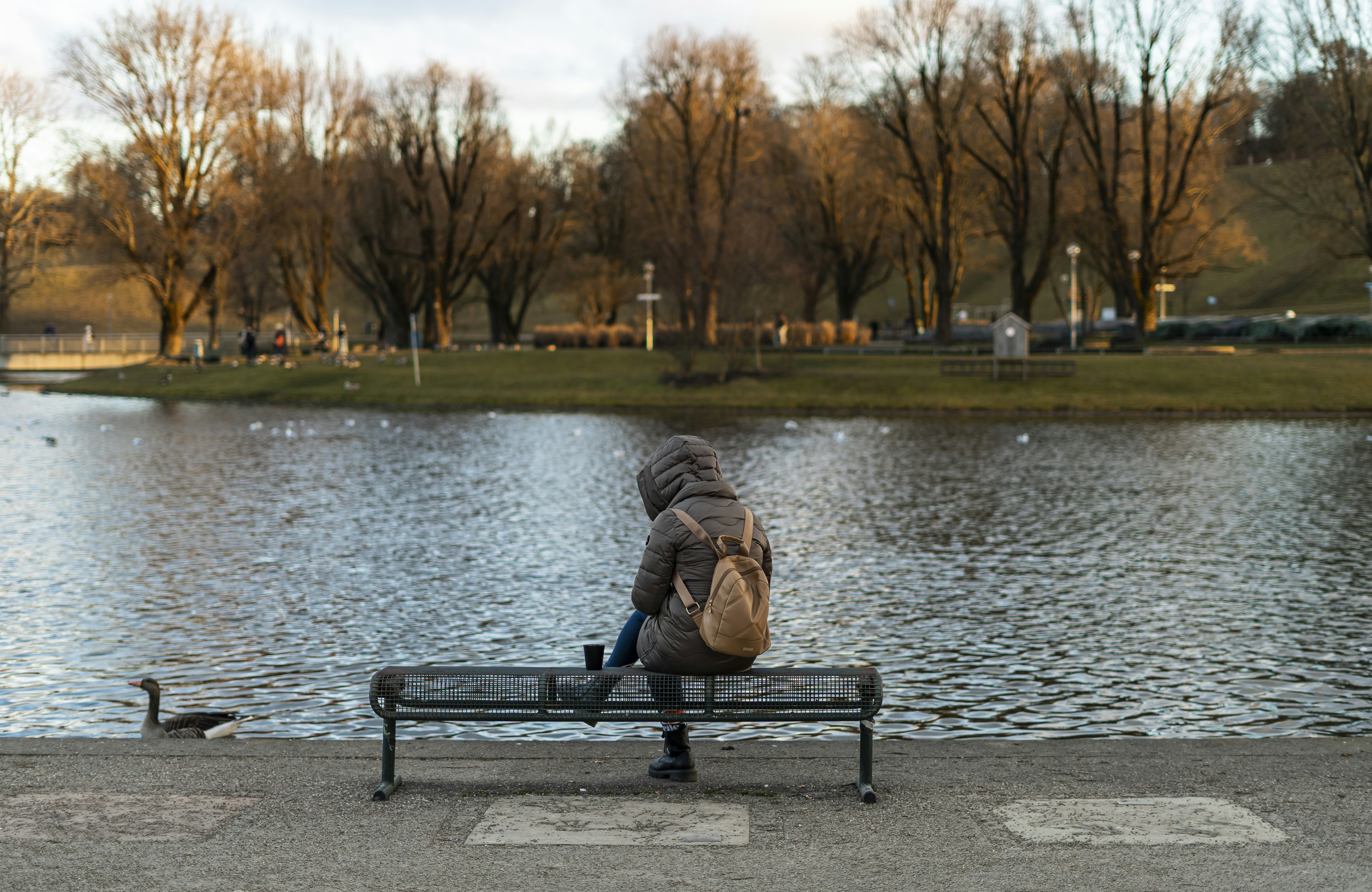 Photo by fatma_gallery