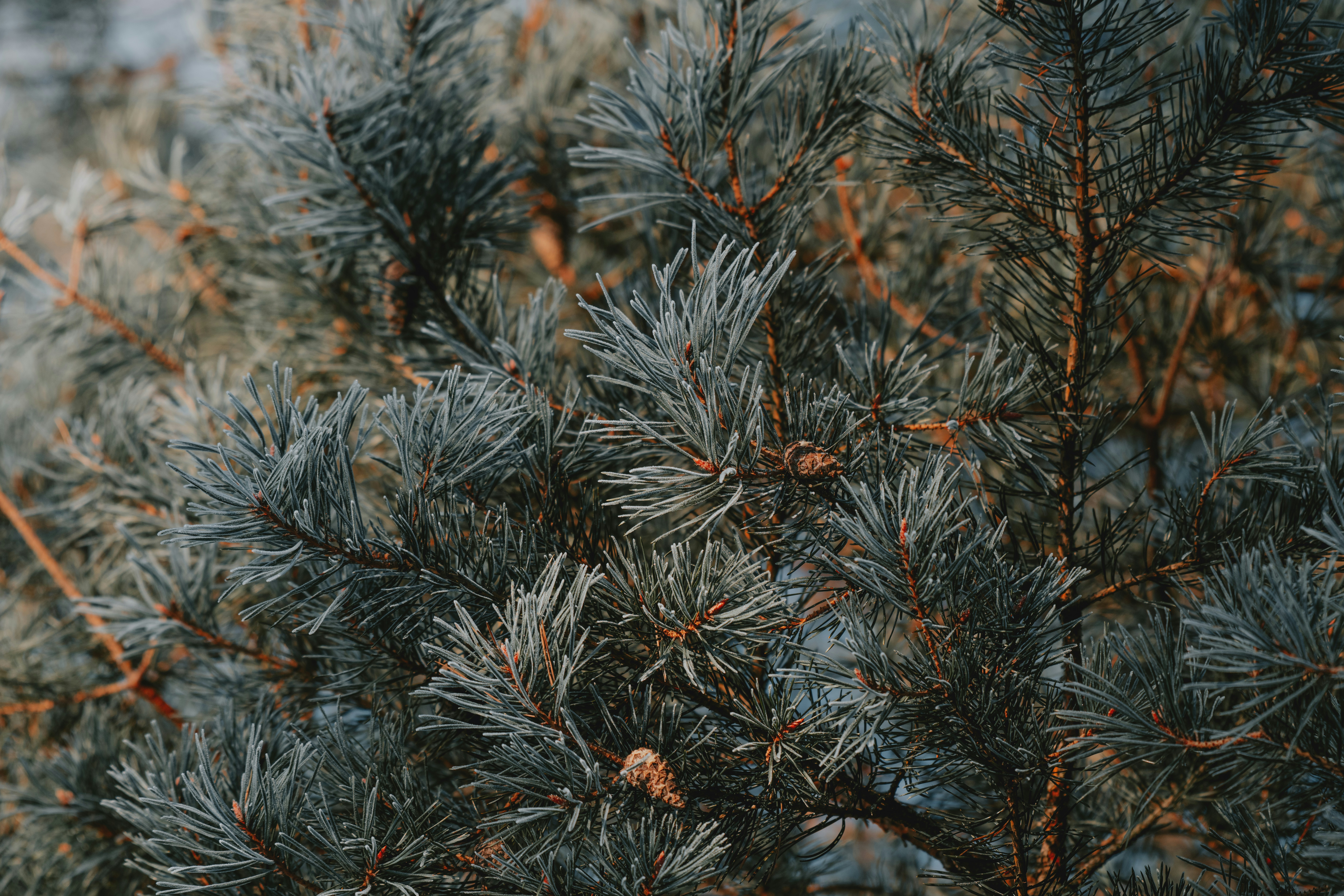 Photo by anitaaustvika