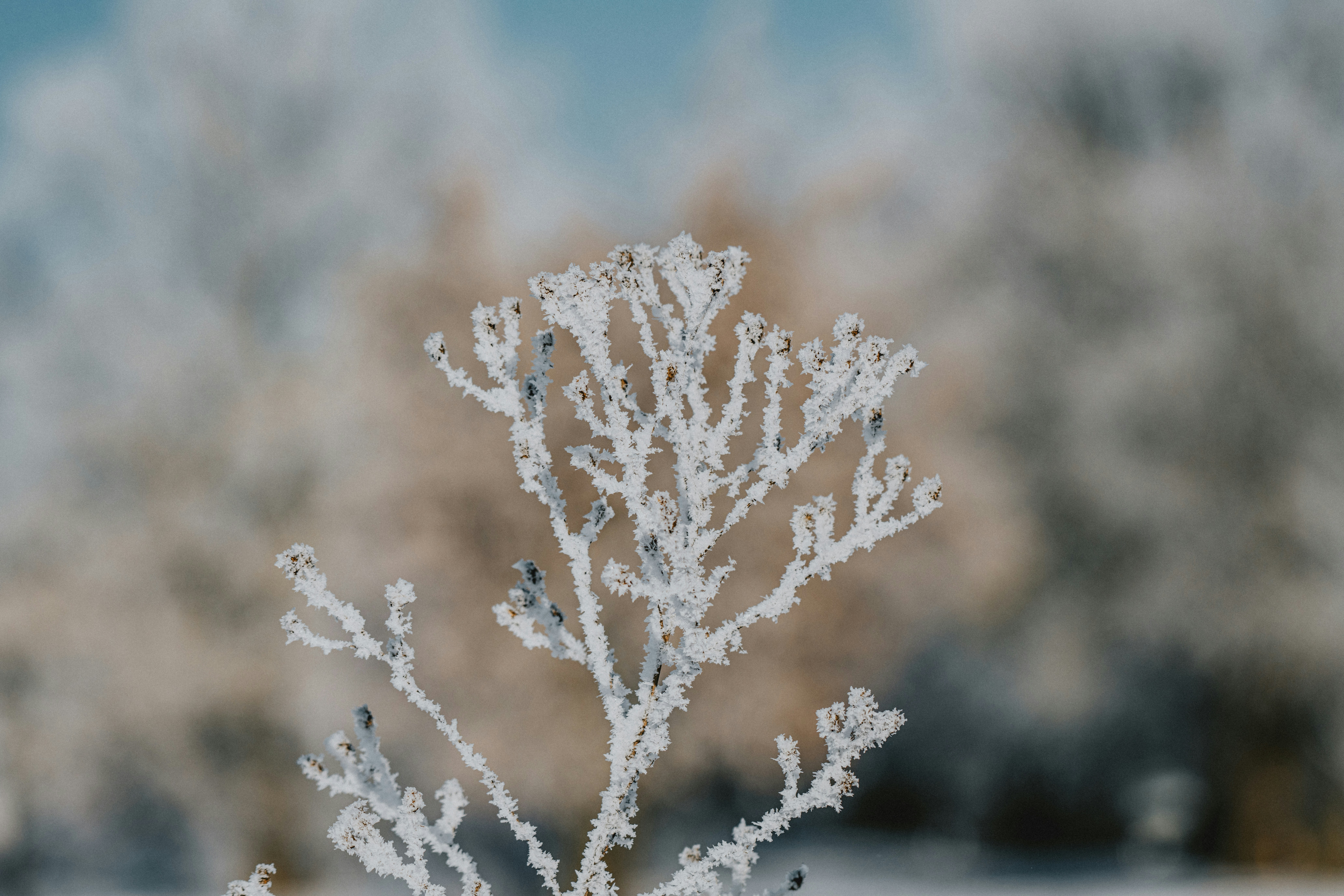 Photo by anitaaustvika