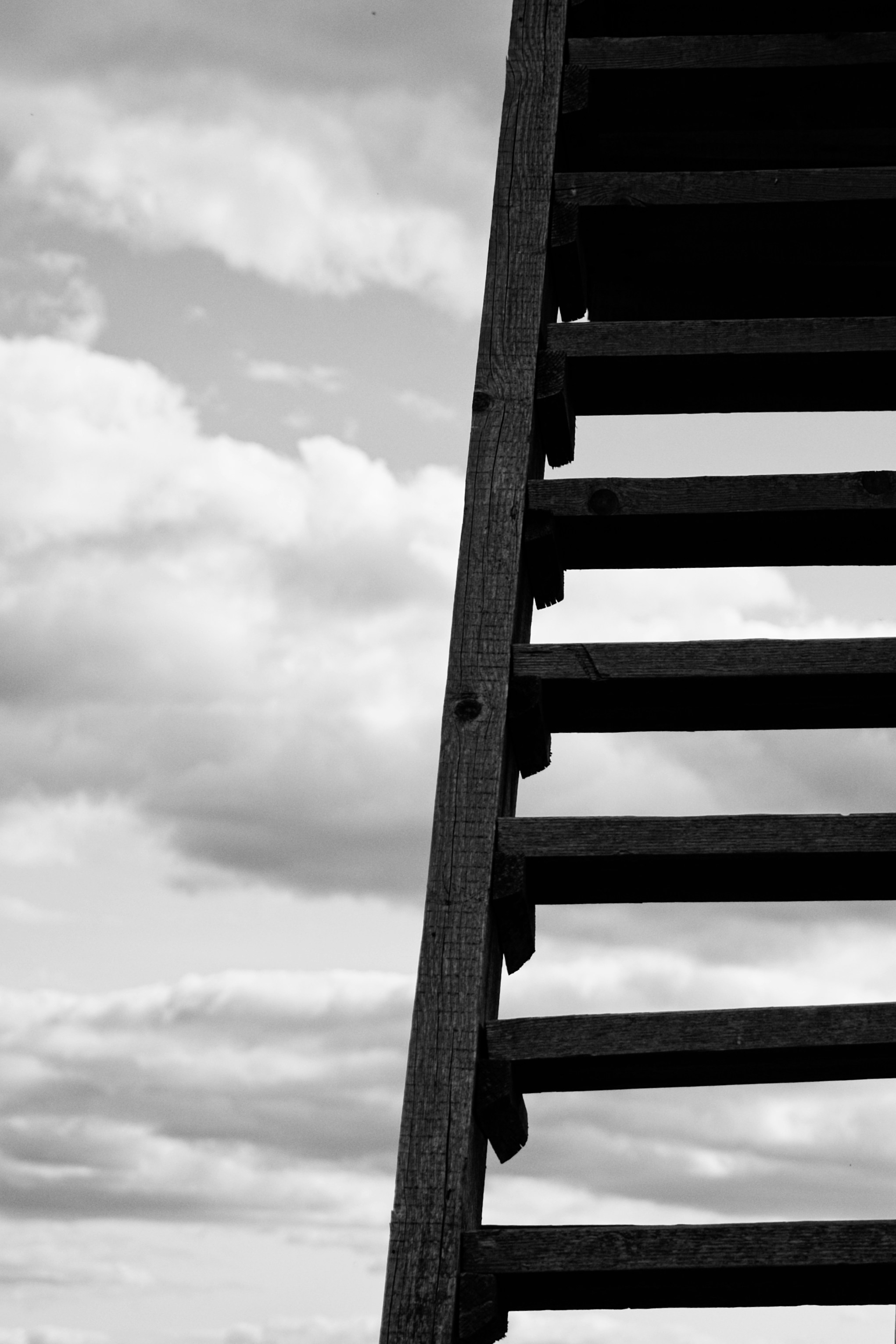 Photo by nedimshoots