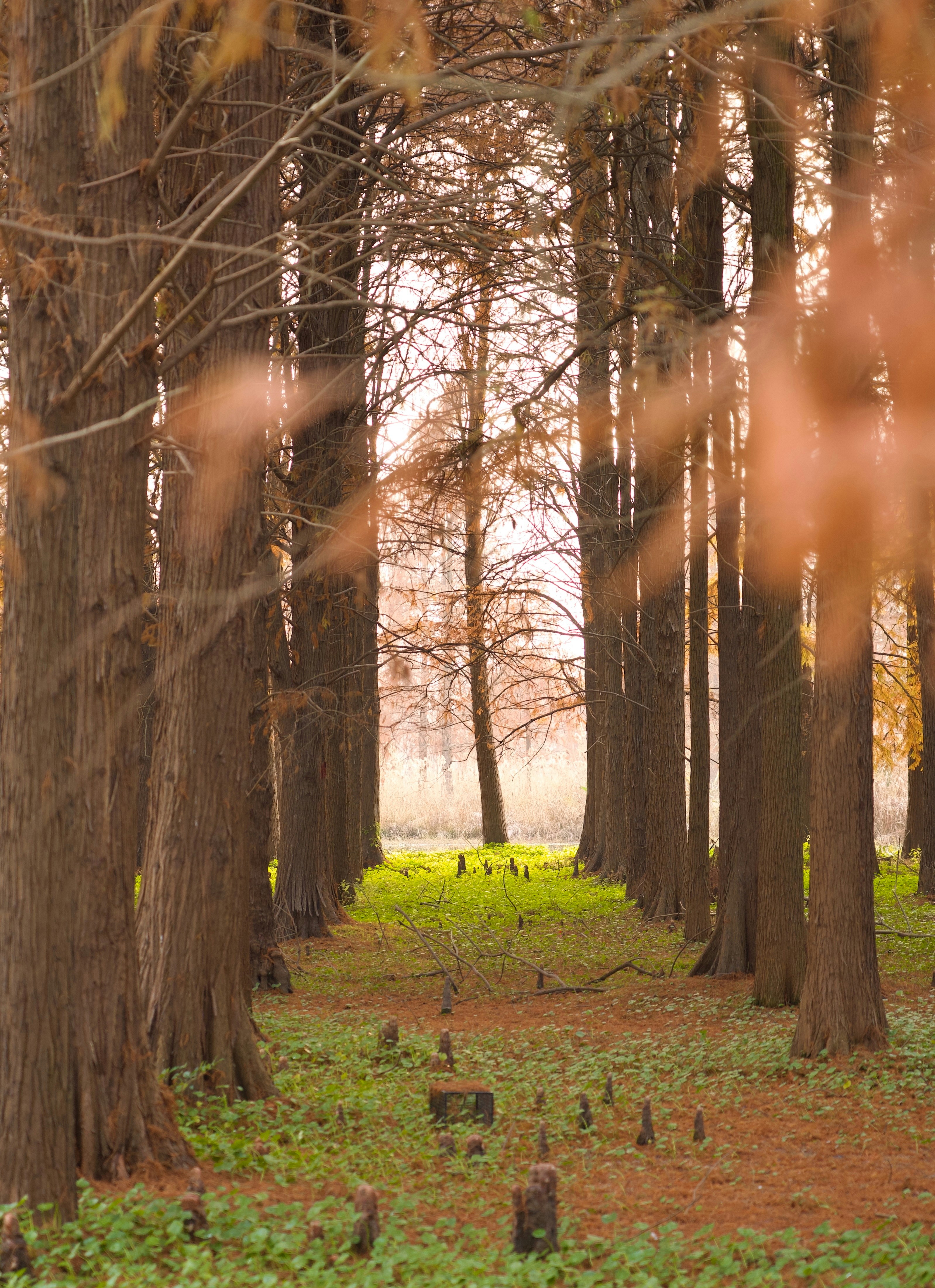 Photo by forrestchai