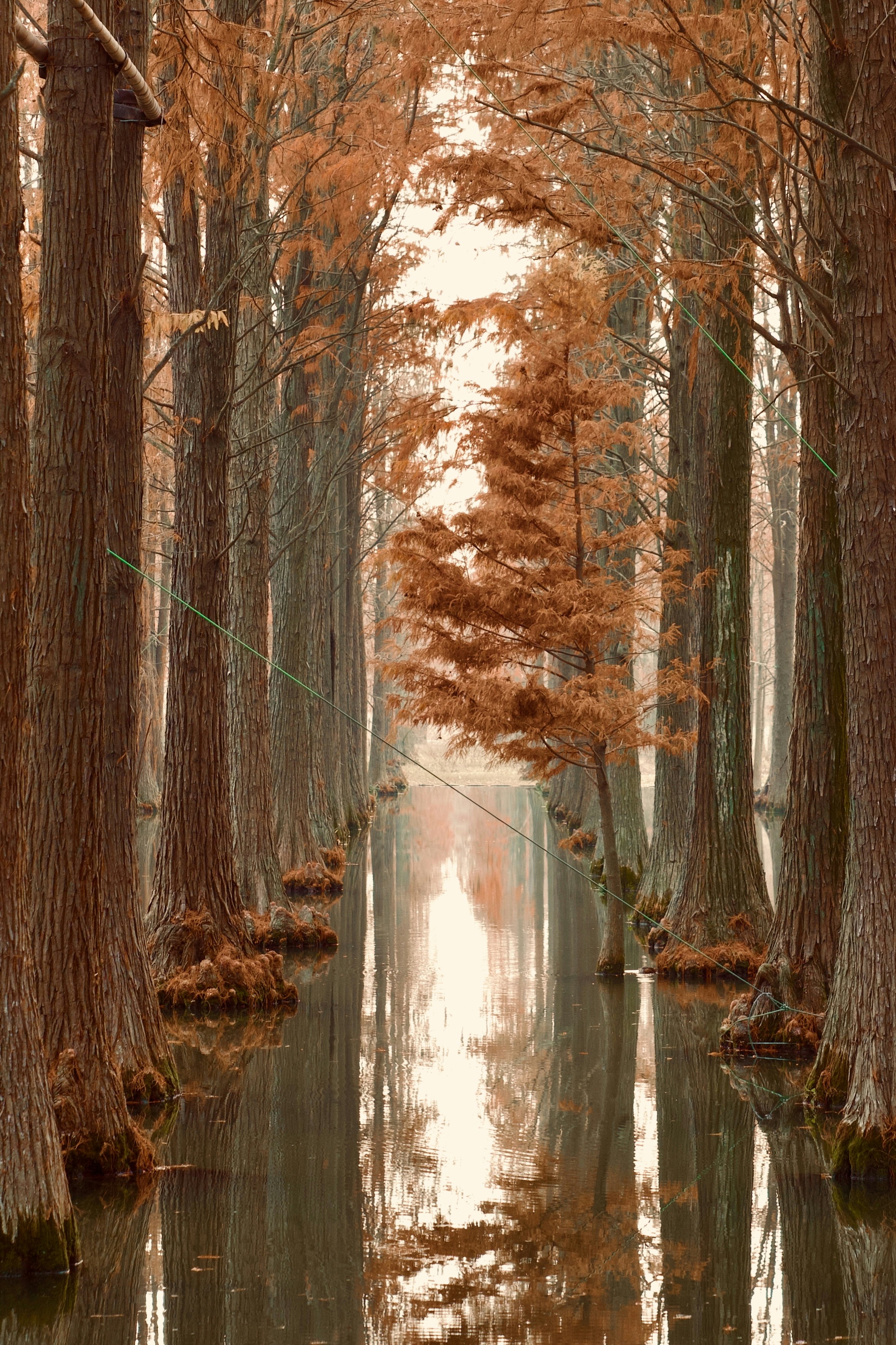 Photo by forrestchai