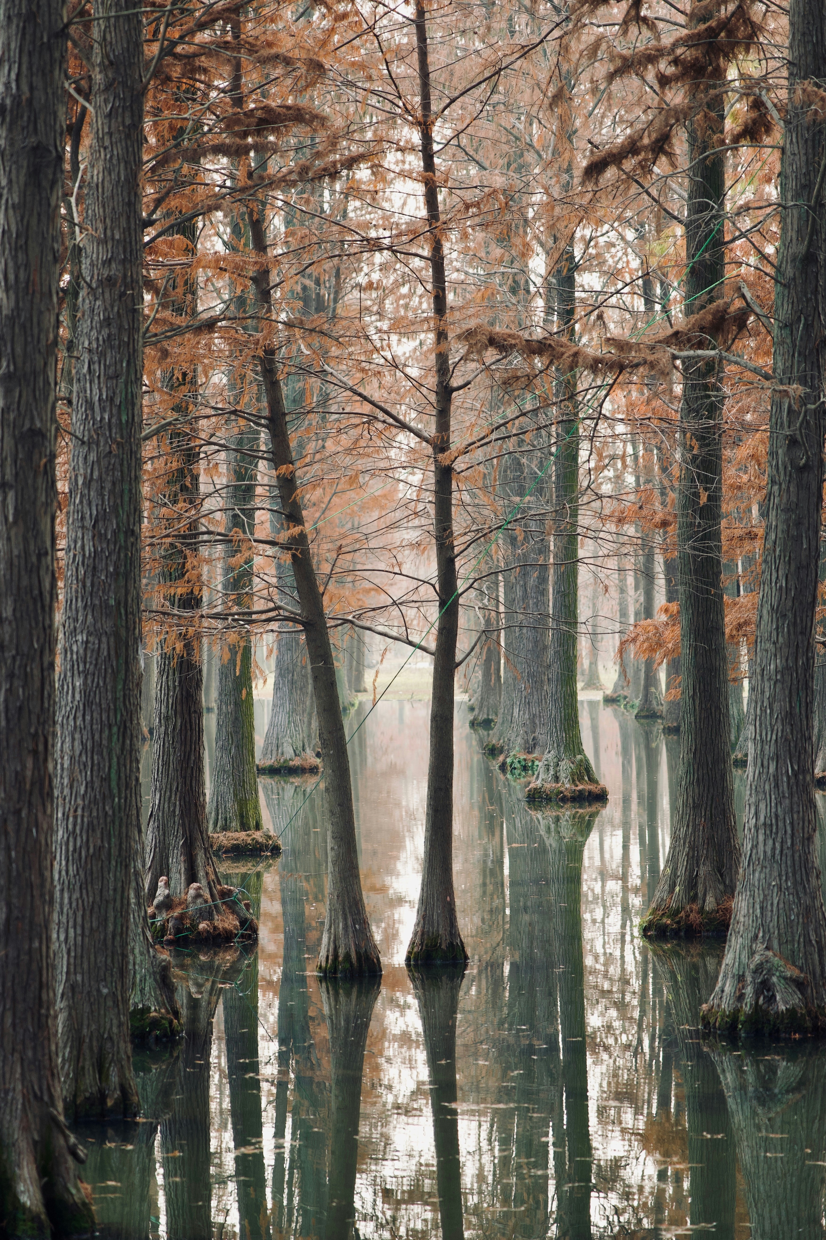 Photo by forrestchai