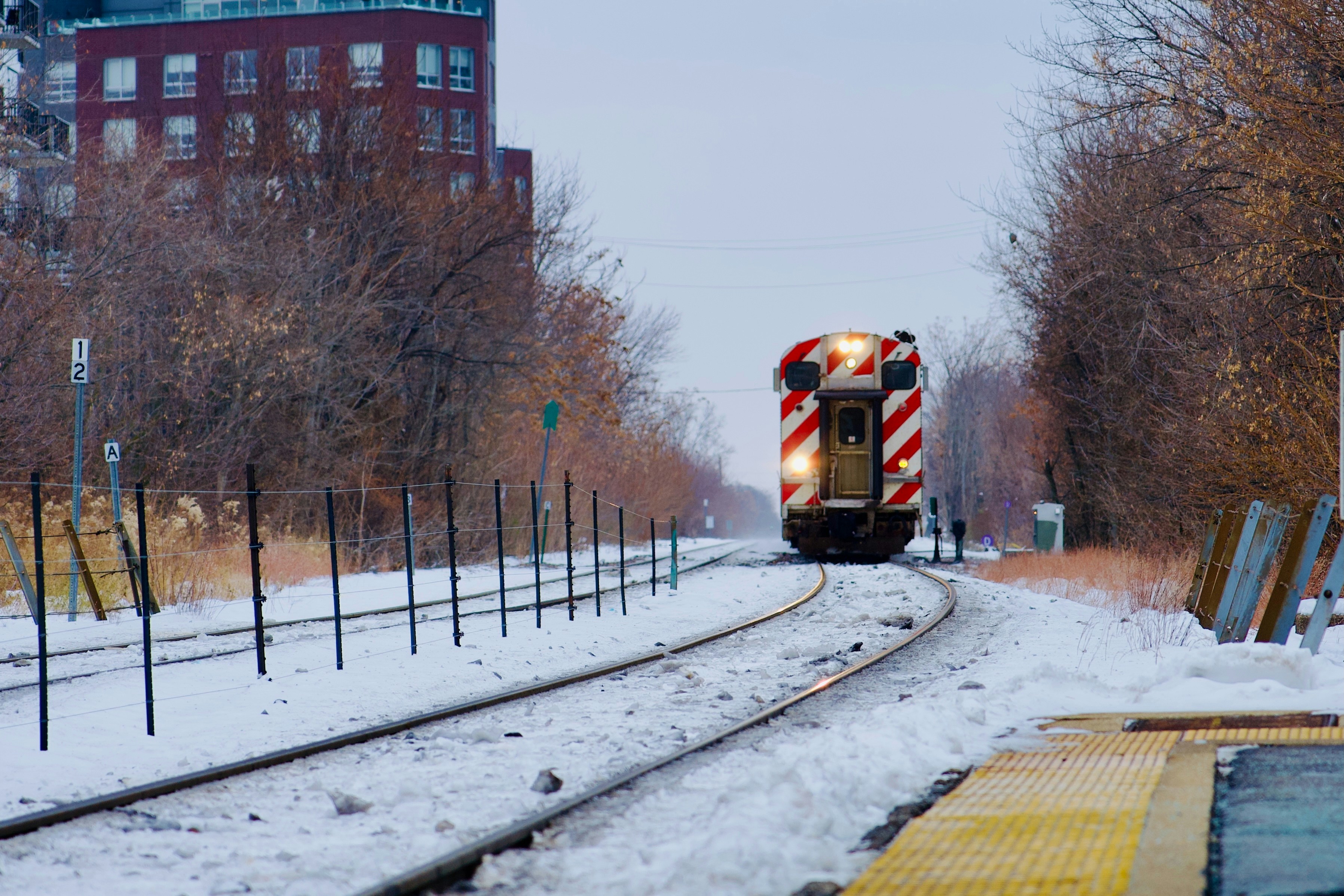 Photo by forrestchai