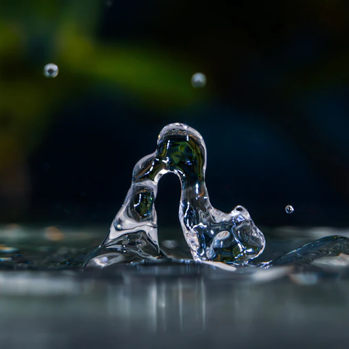 Abstract water splash frozen in motion.