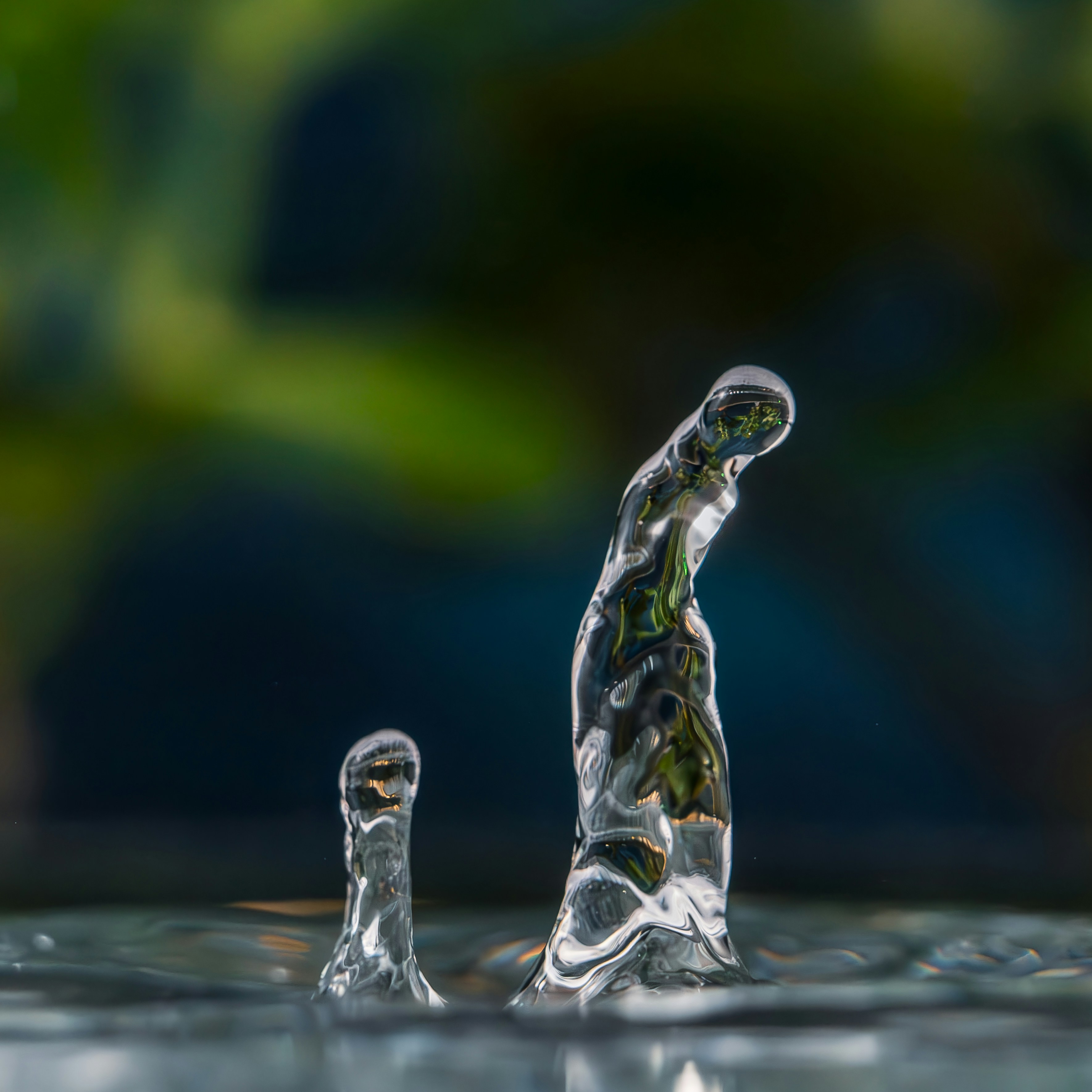 Two water splashes frozen mid-air.