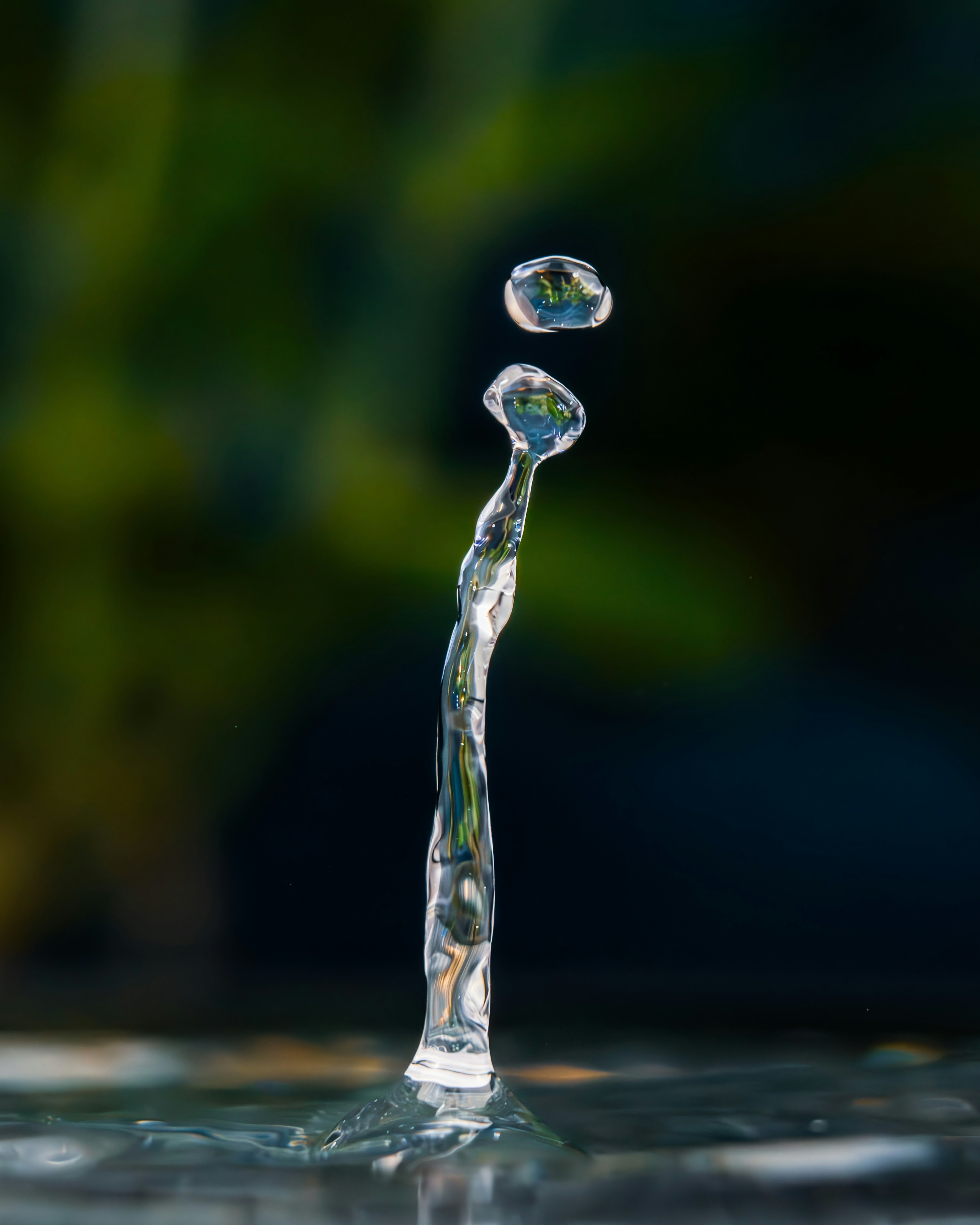 Photo by carolgauthier