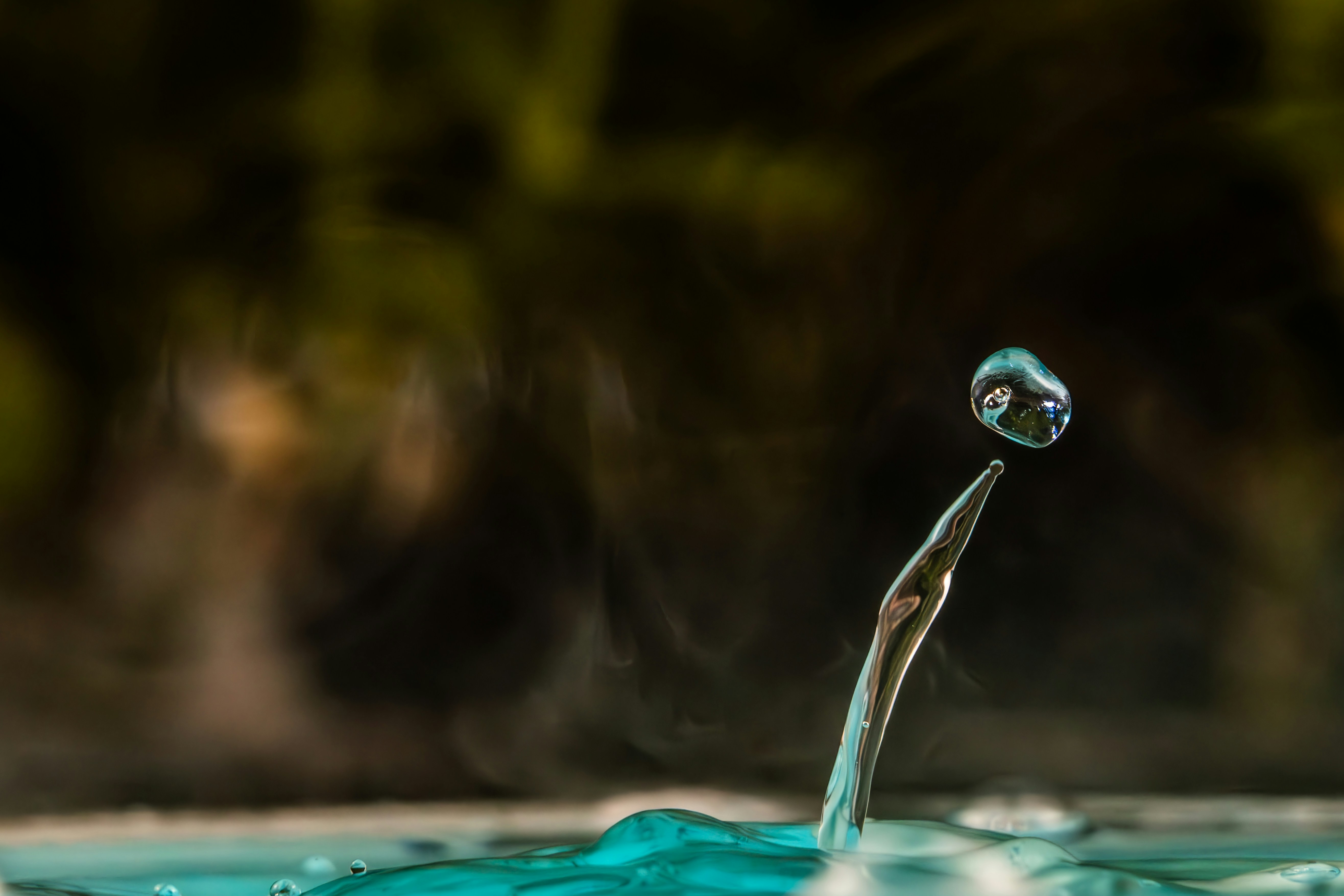 Photo by carolgauthier