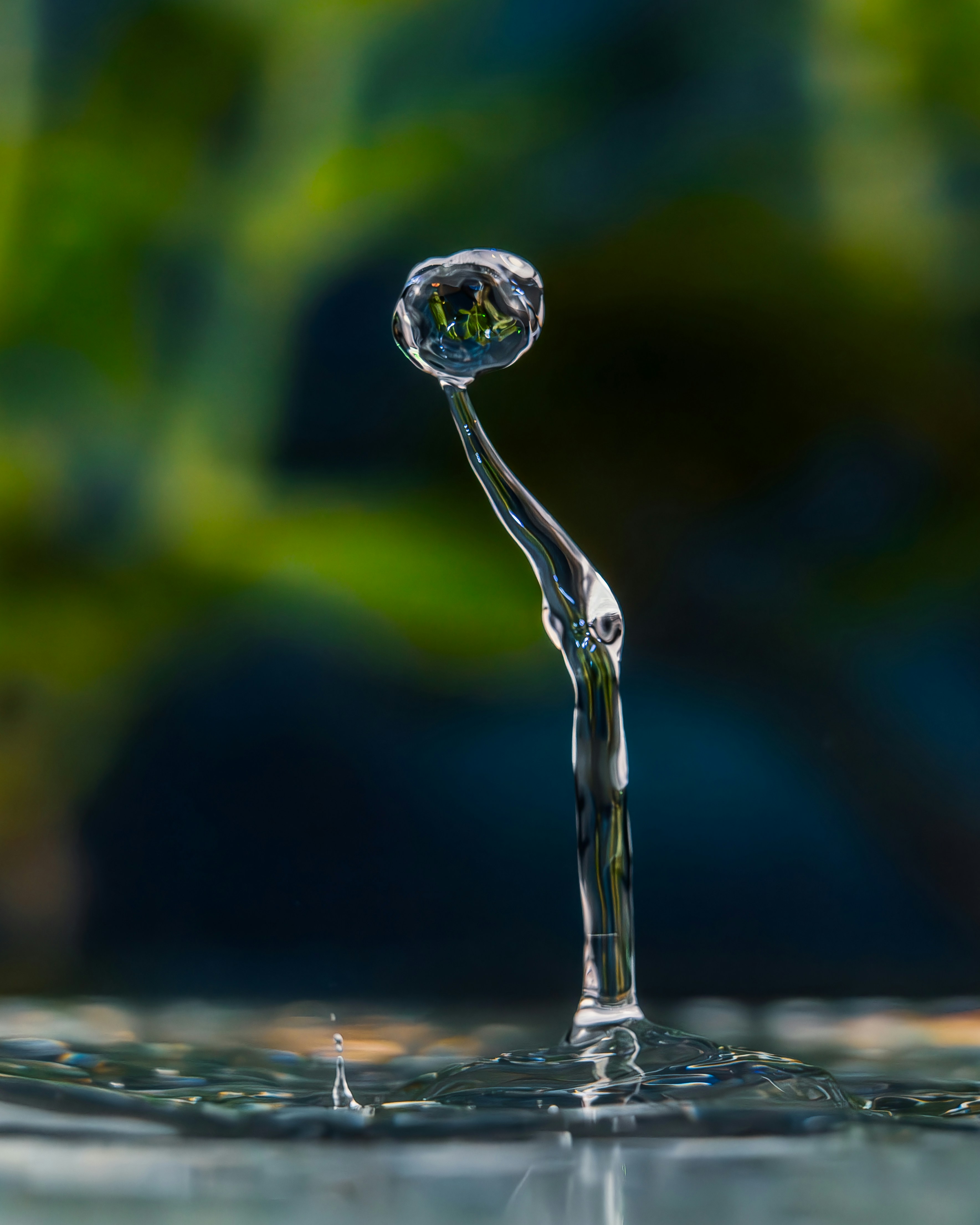 A water droplet frozen in mid-air as a flower.
