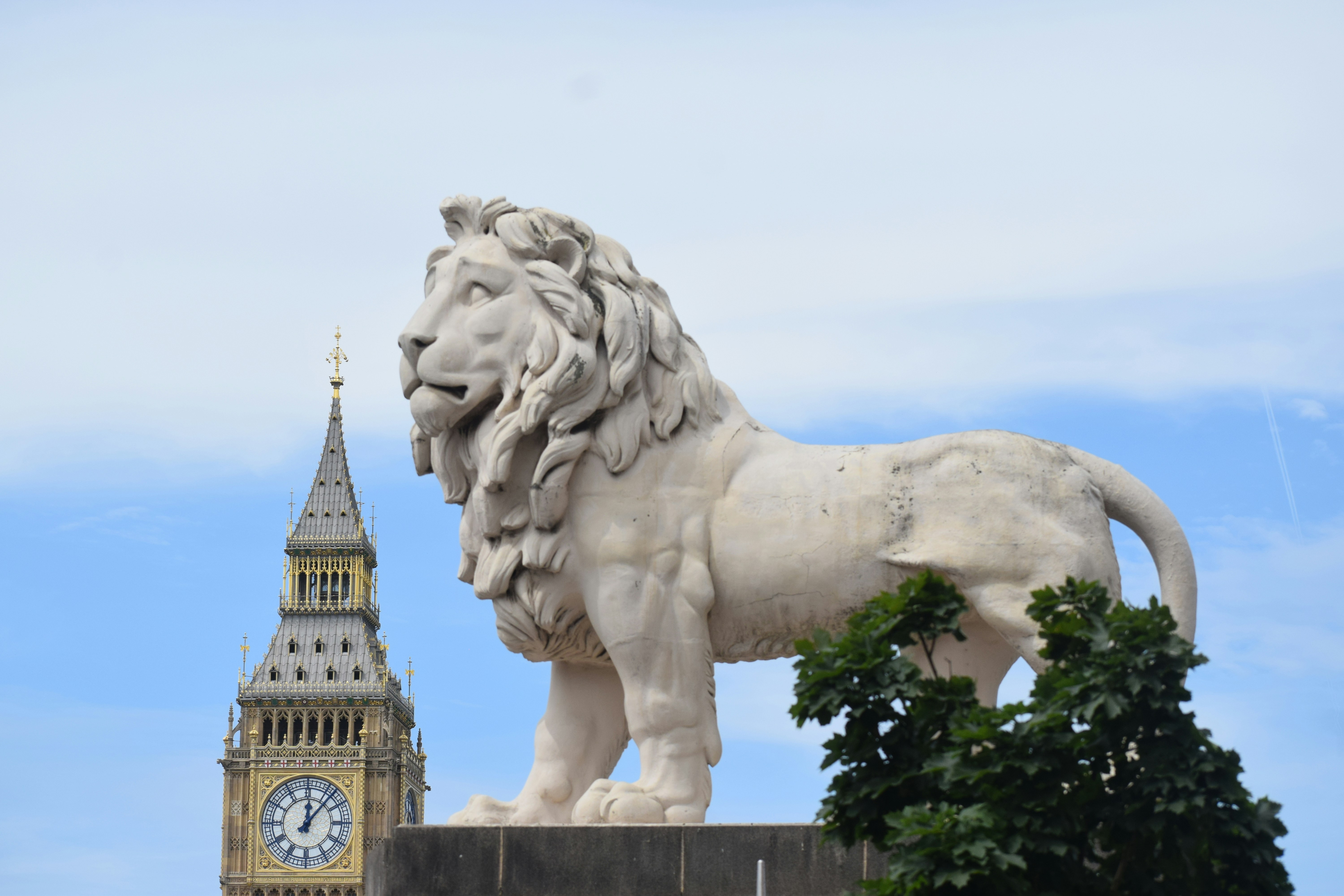 Photo by iamsrinipics