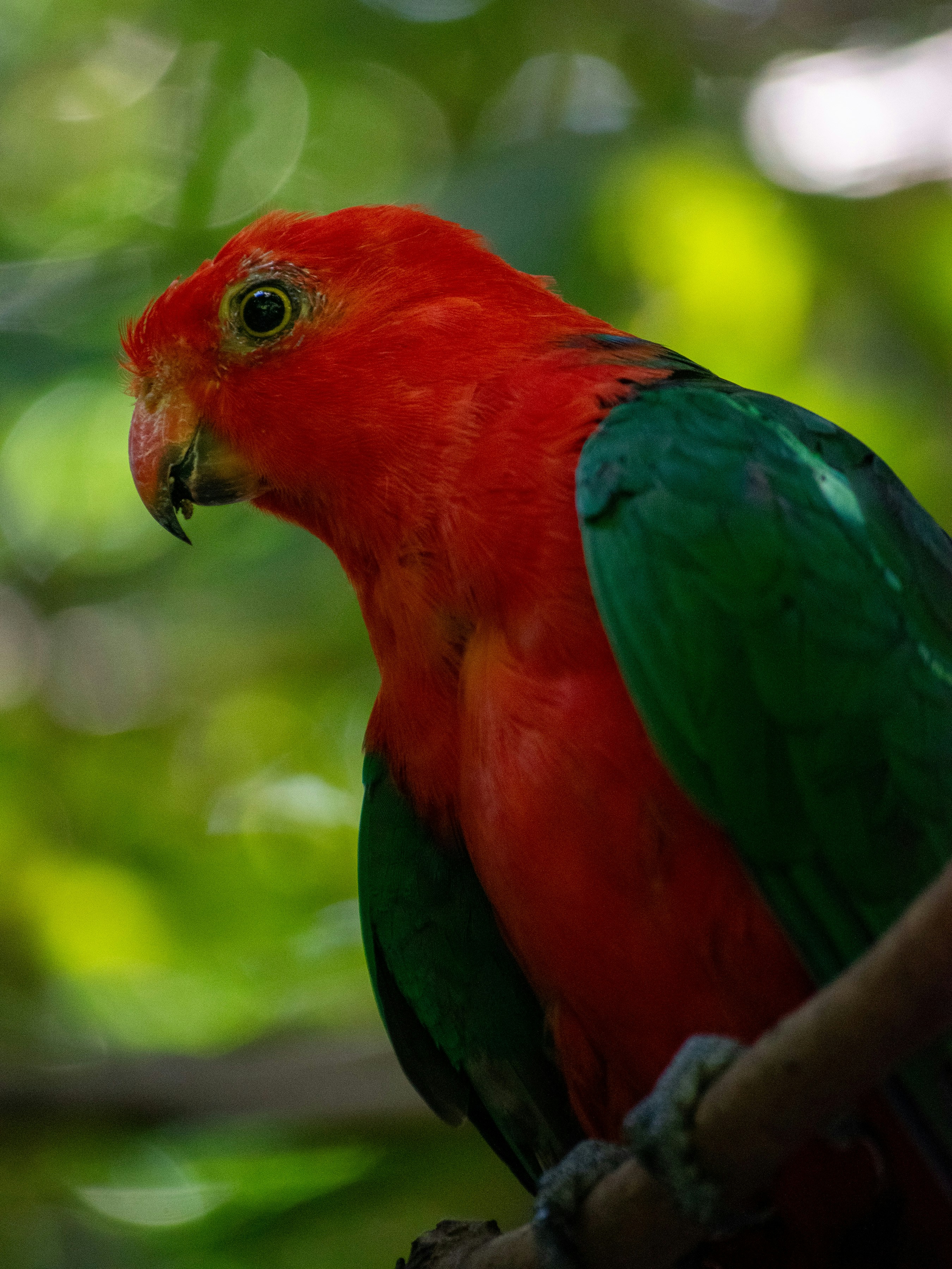 Photo by nicollcamacho