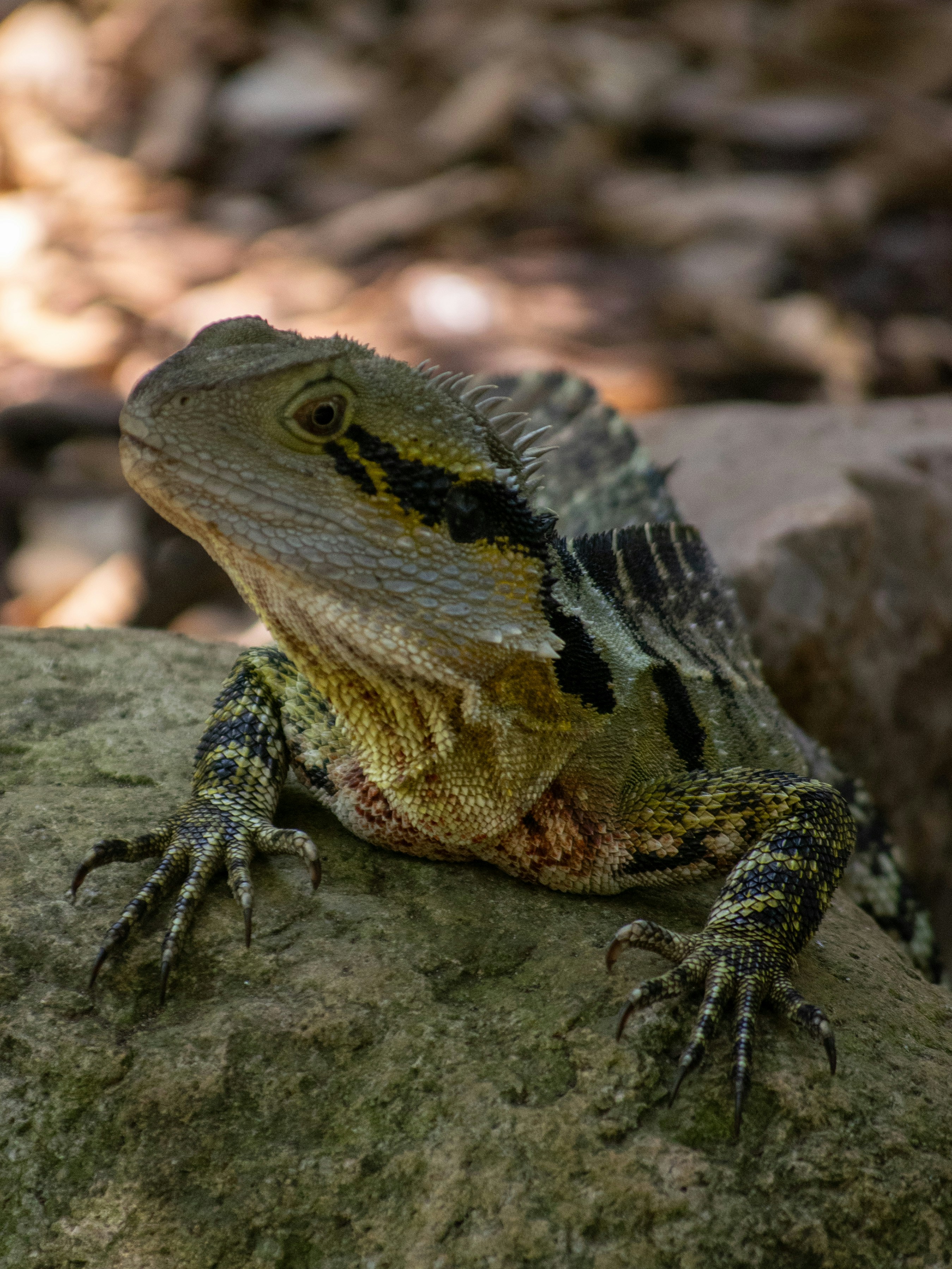 Photo by nicollcamacho