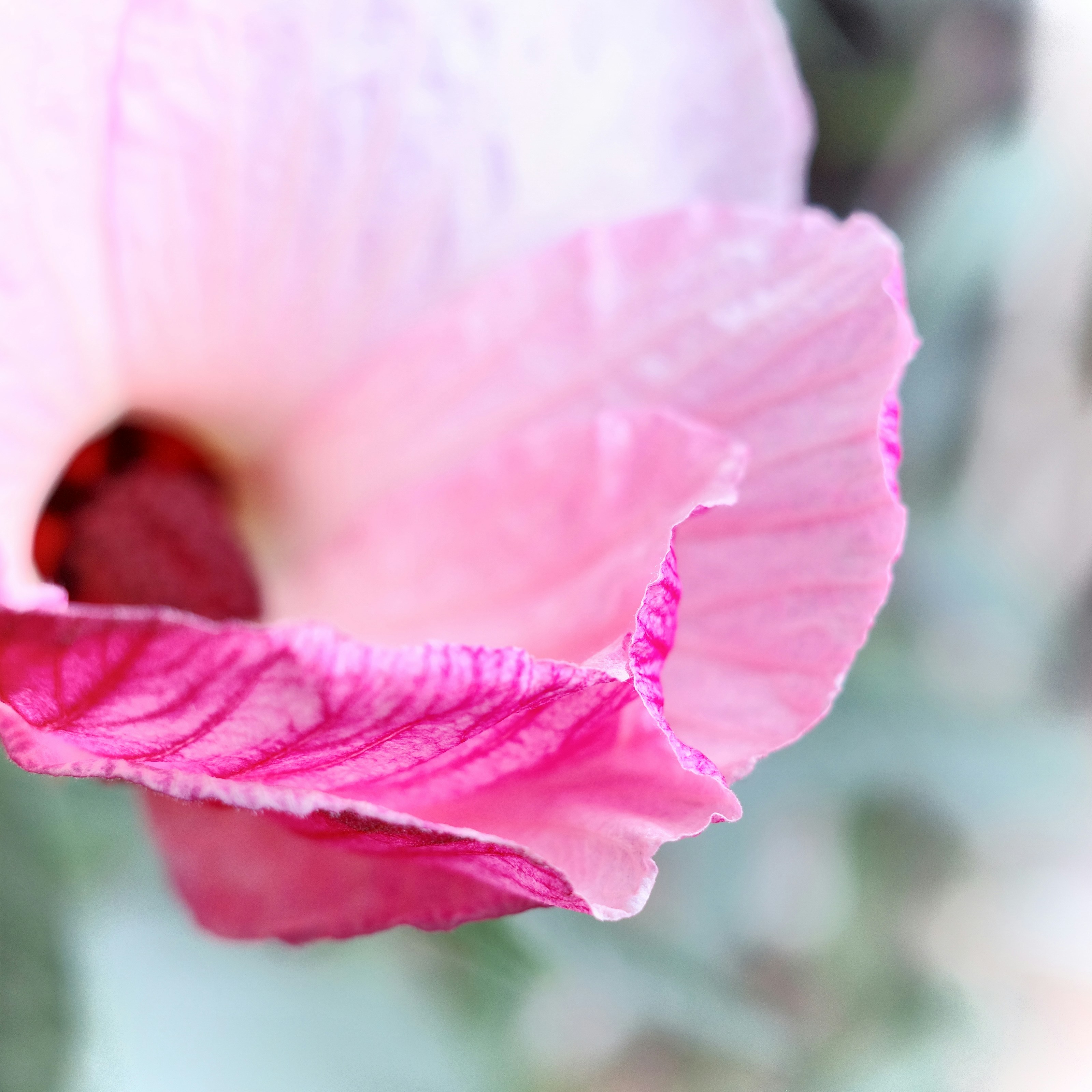 Photo by dickenslin76