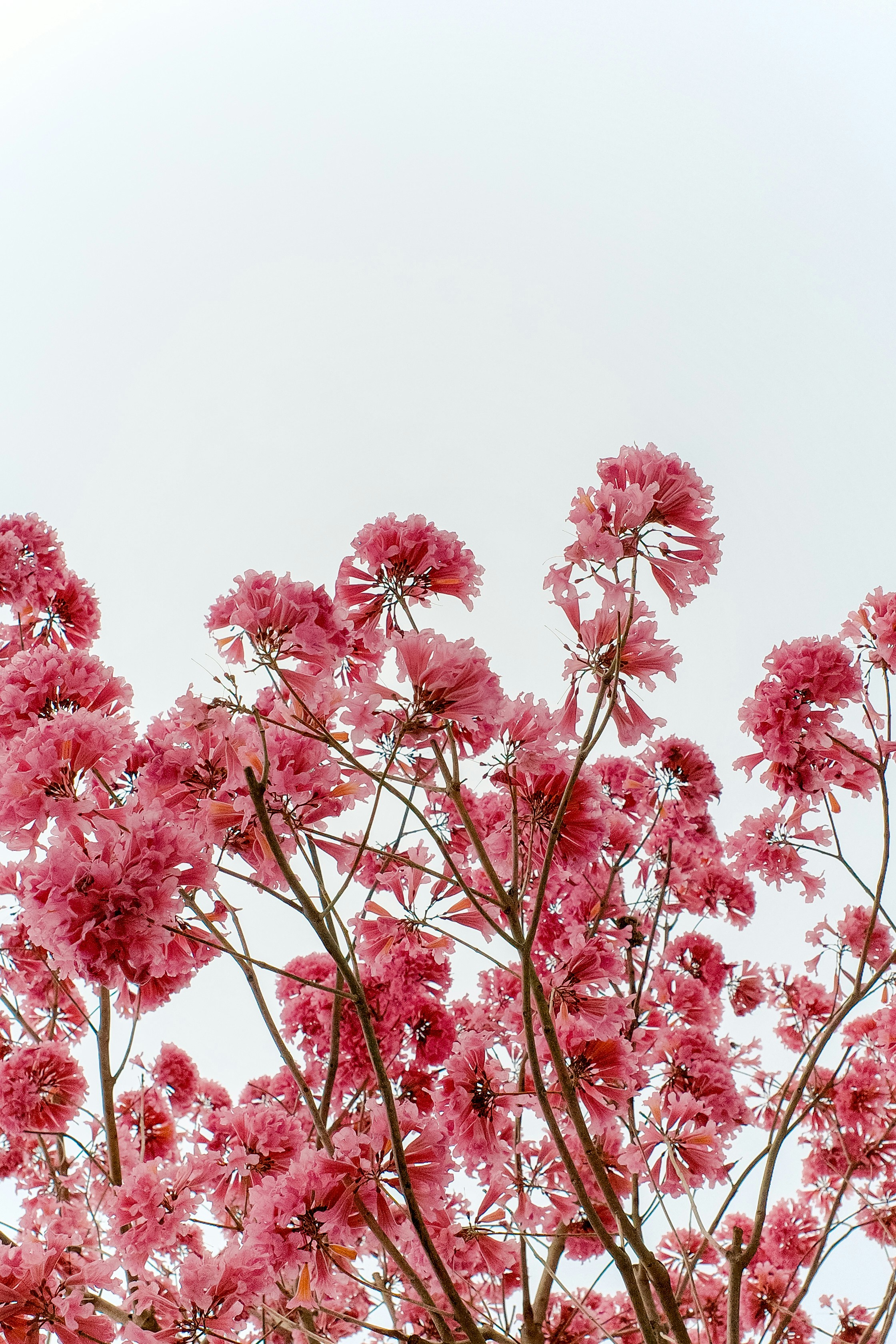 Photo by dickenslin76