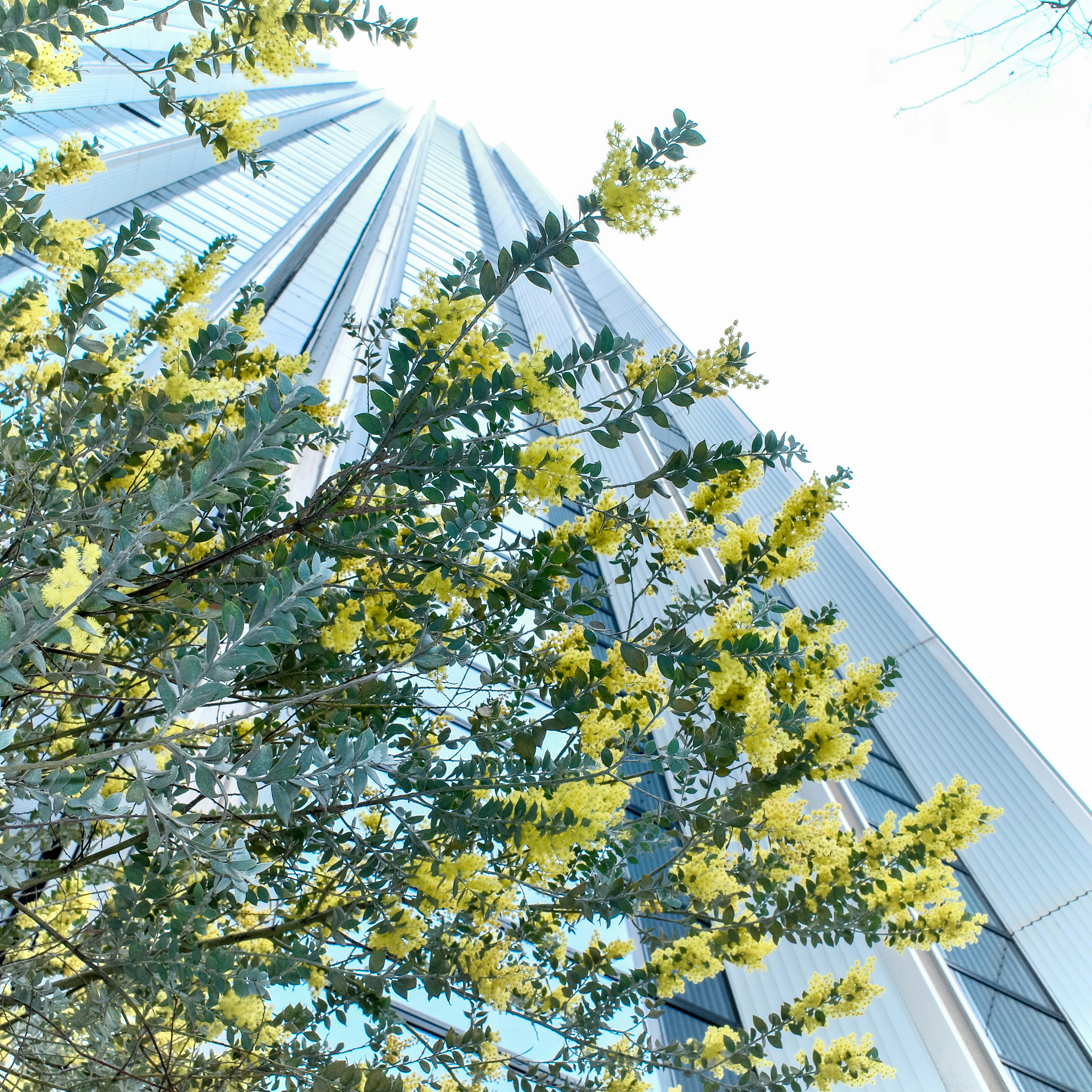 Photo by dickenslin76