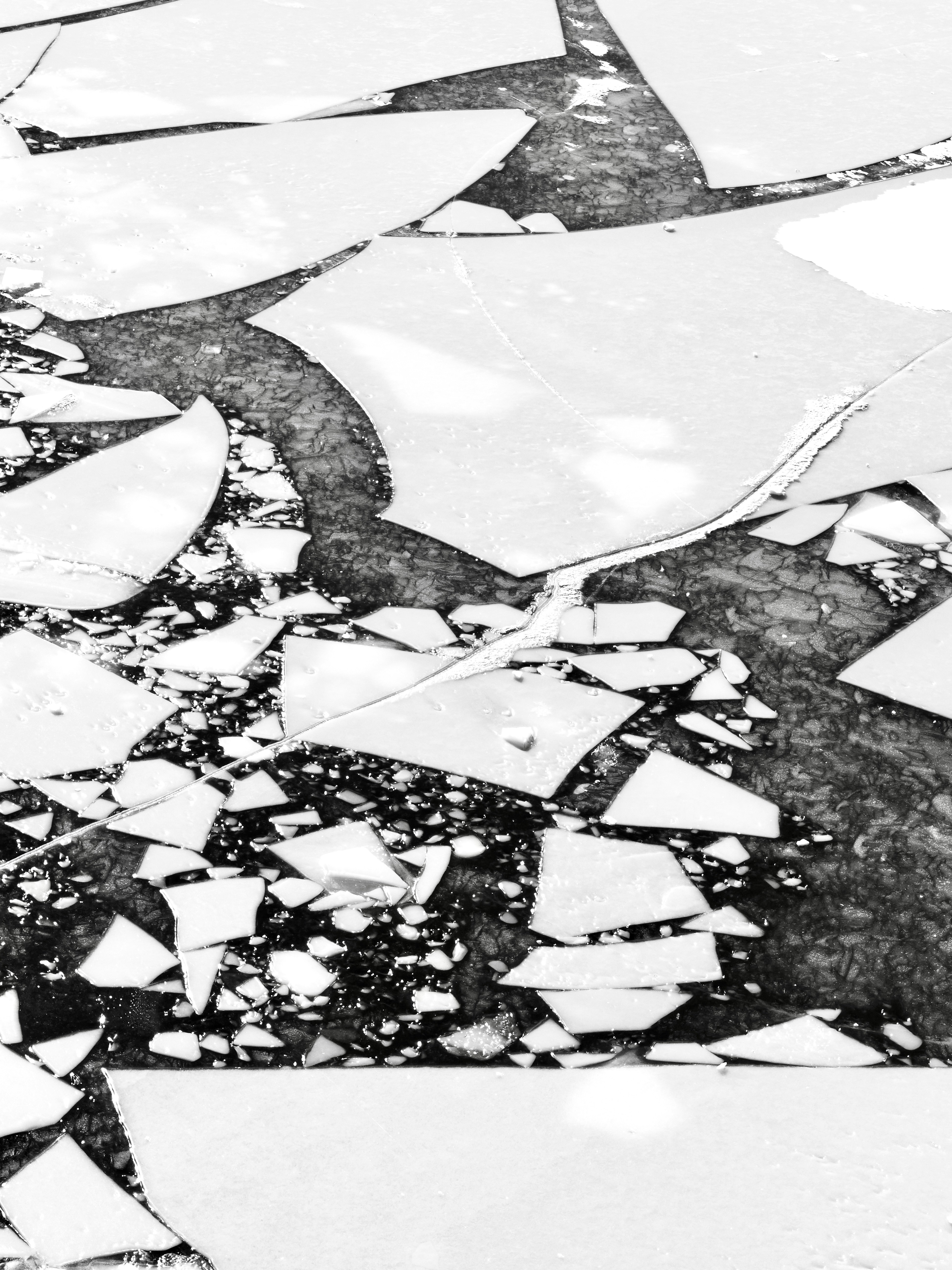 Cracked ice floating on dark water