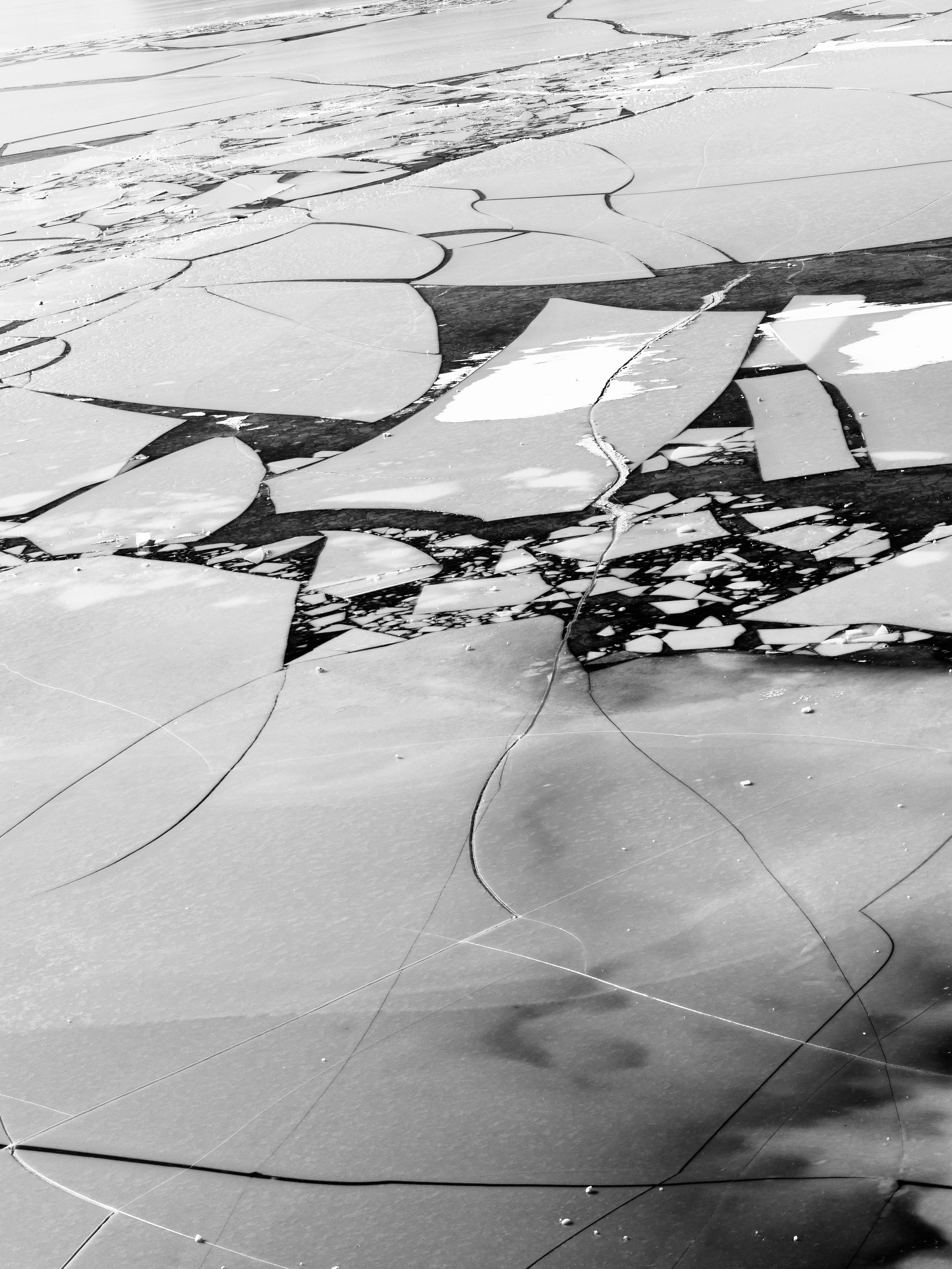 Cracked ice floes on dark water from above