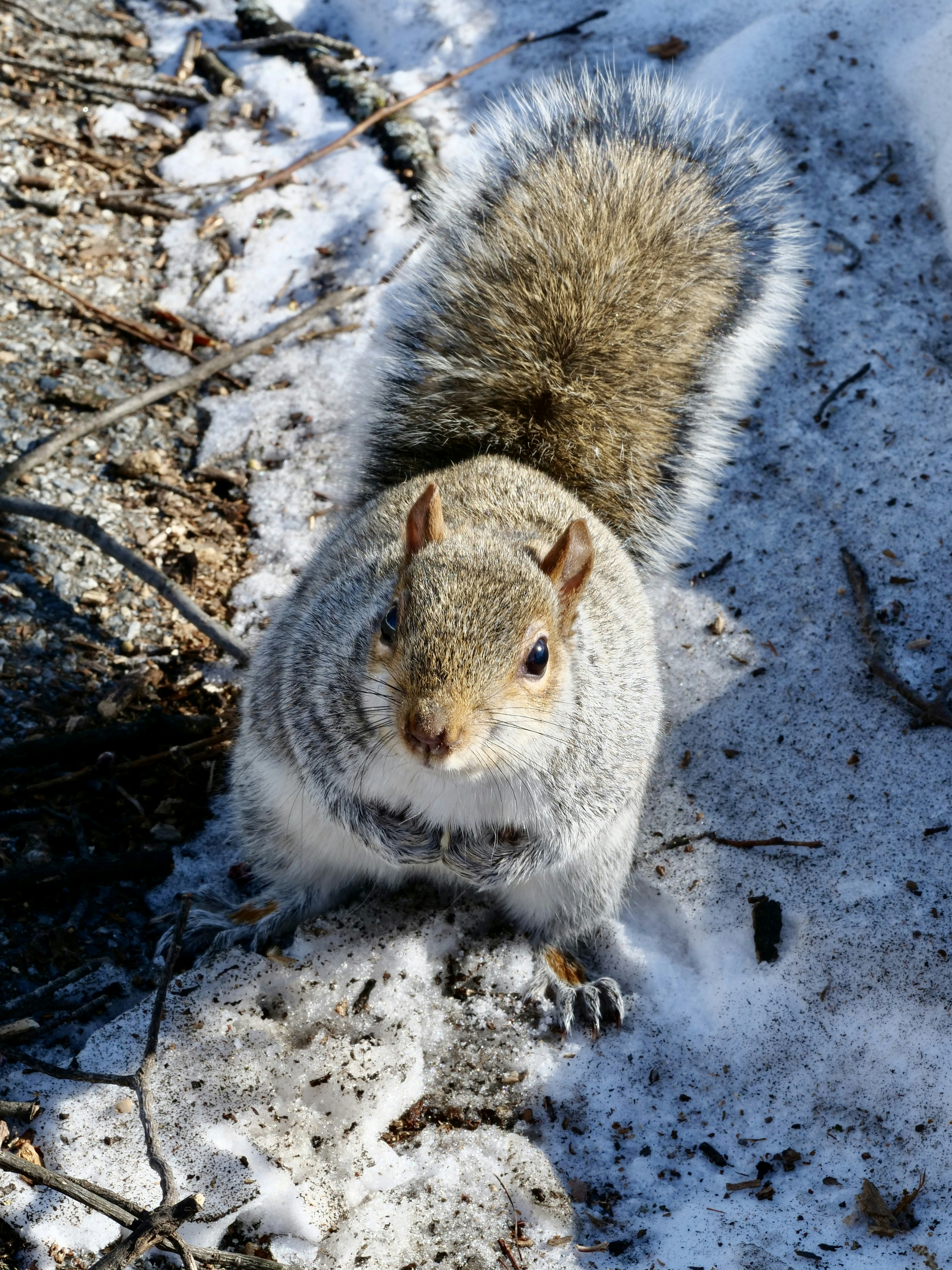 Photo by sschusterphotoart