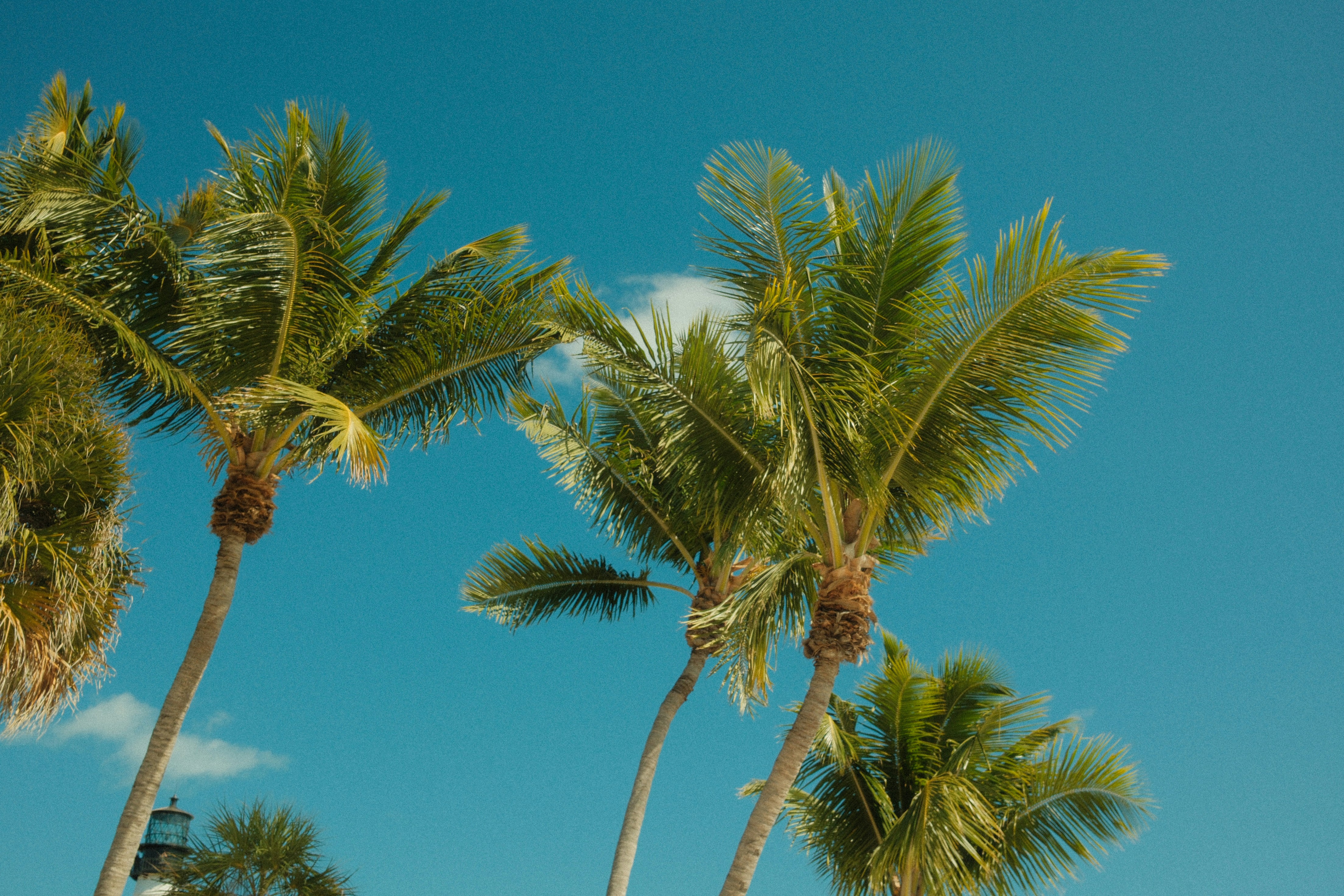 Photo by baqirmuham000