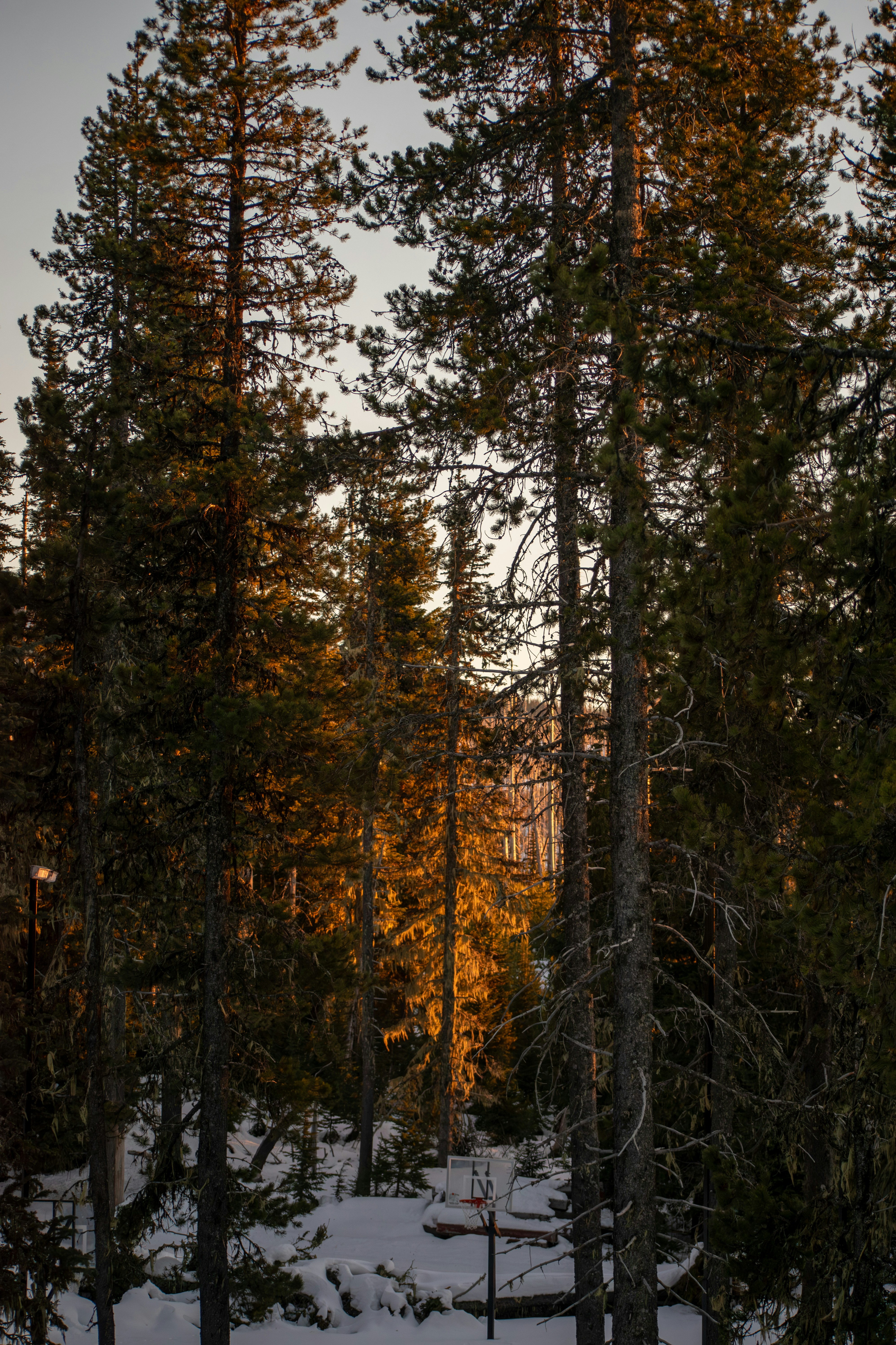 Photo by pictures102