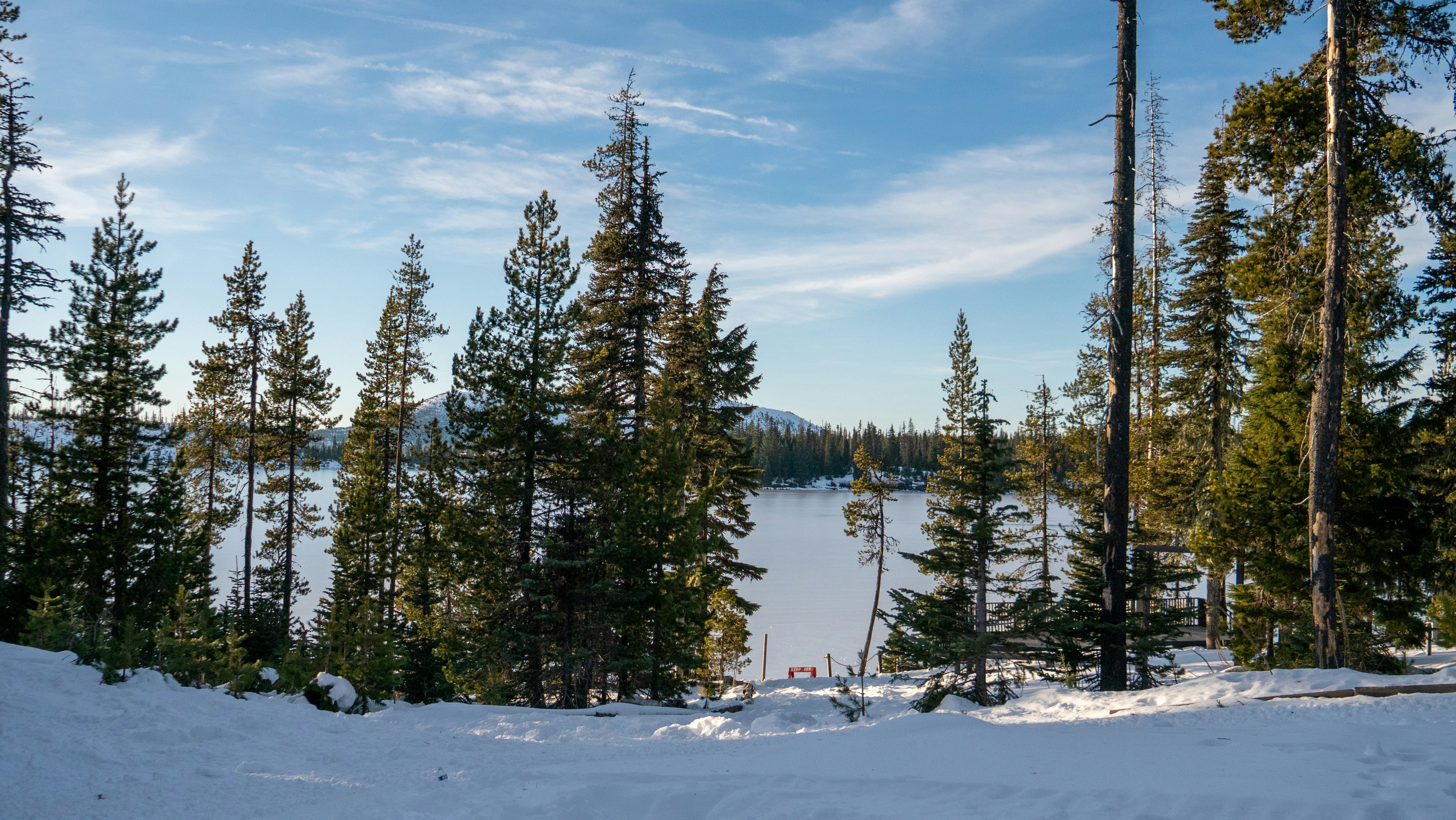 Photo by pictures102