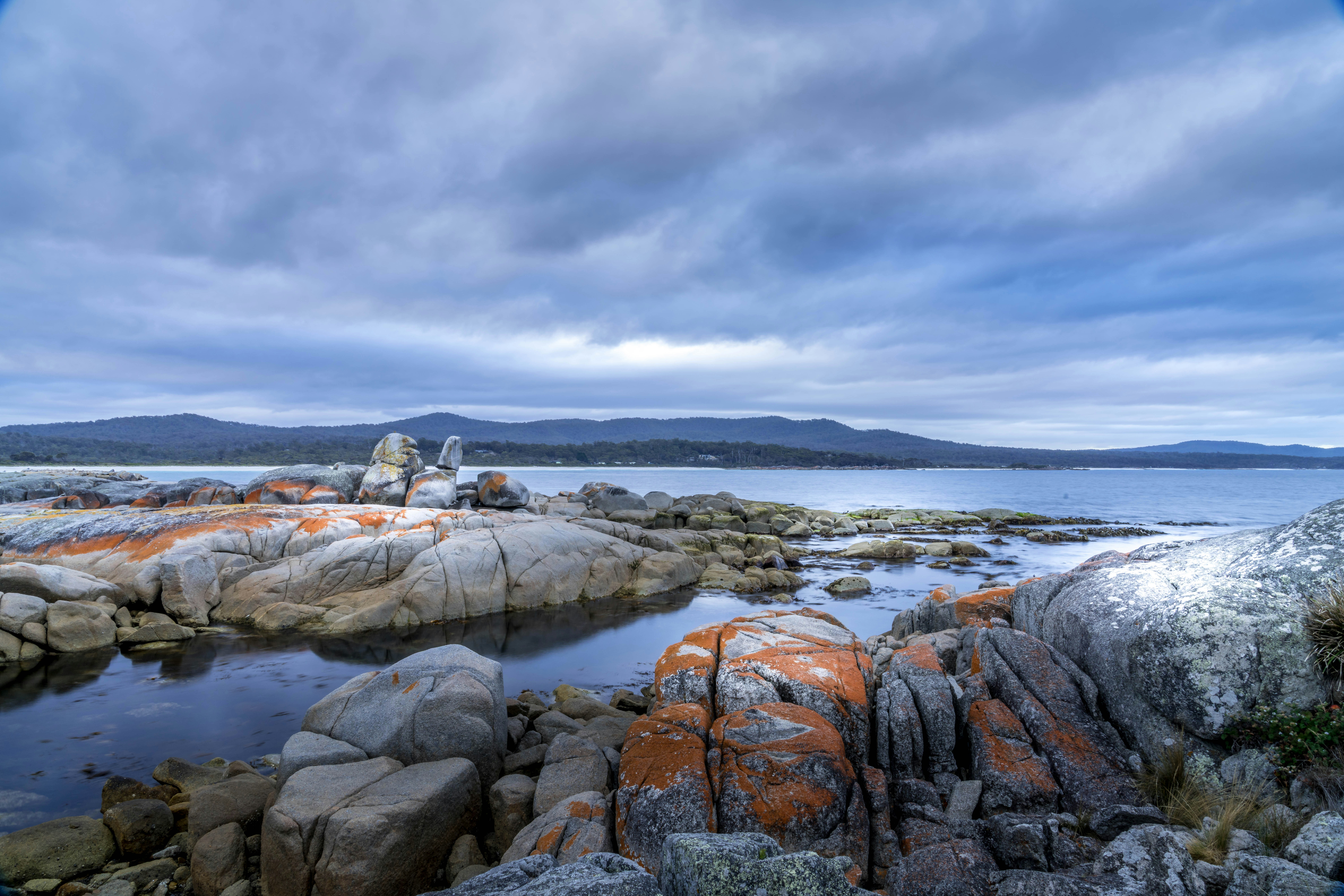 Costa rocosa con líquenes naranjas y aguas tranquilas.