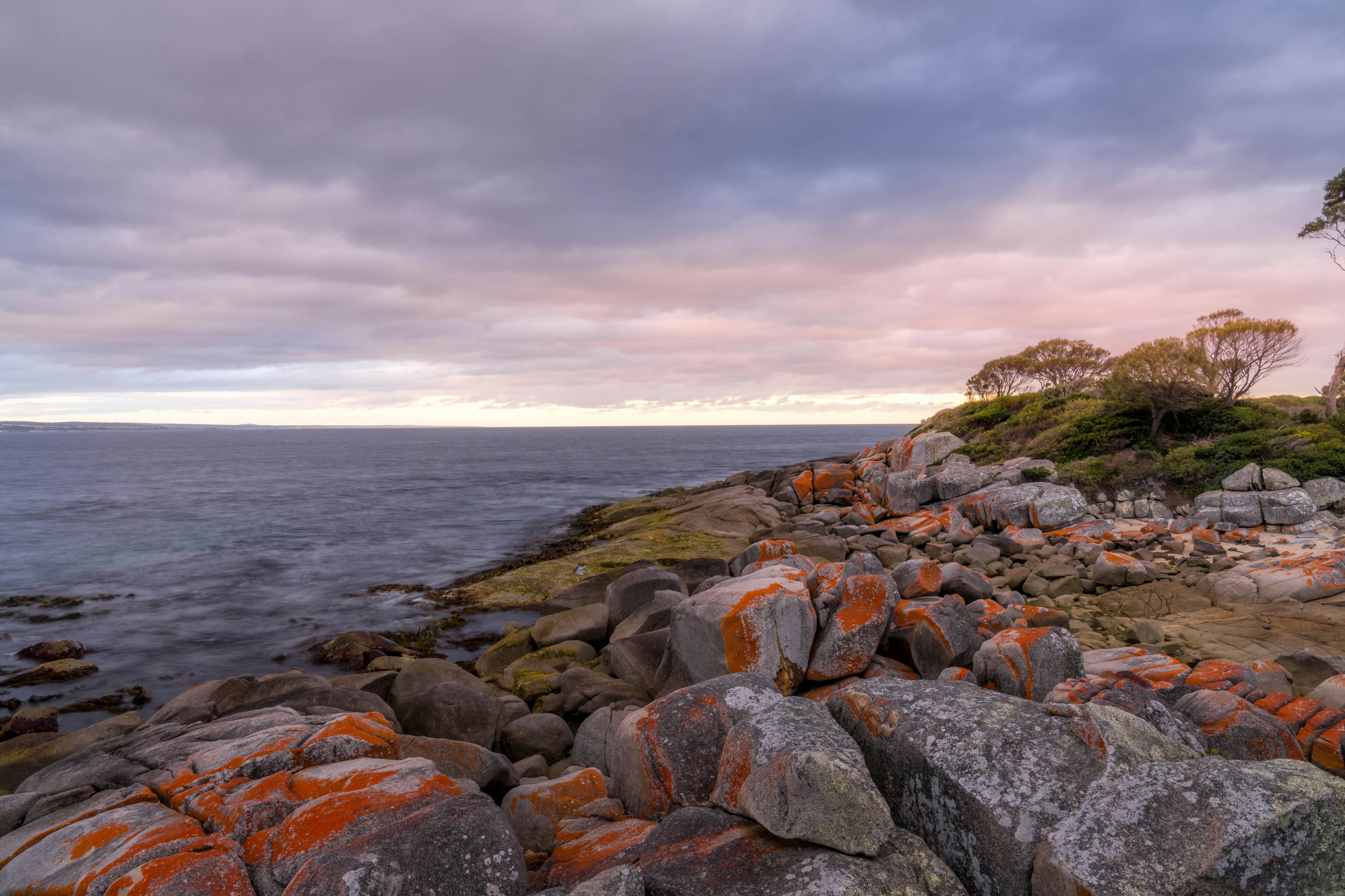 Photo by blaireddieau