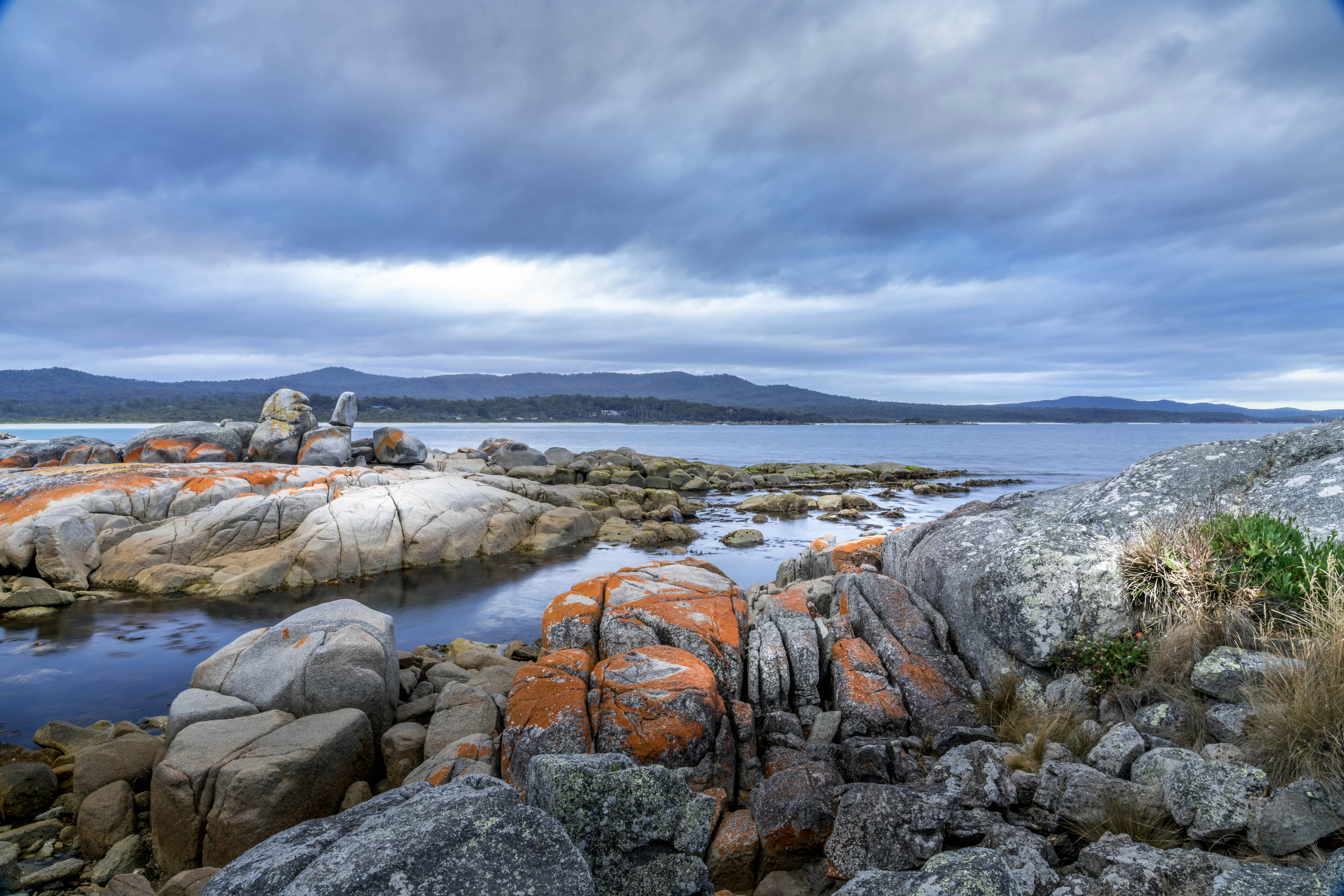 Photo by blaireddieau