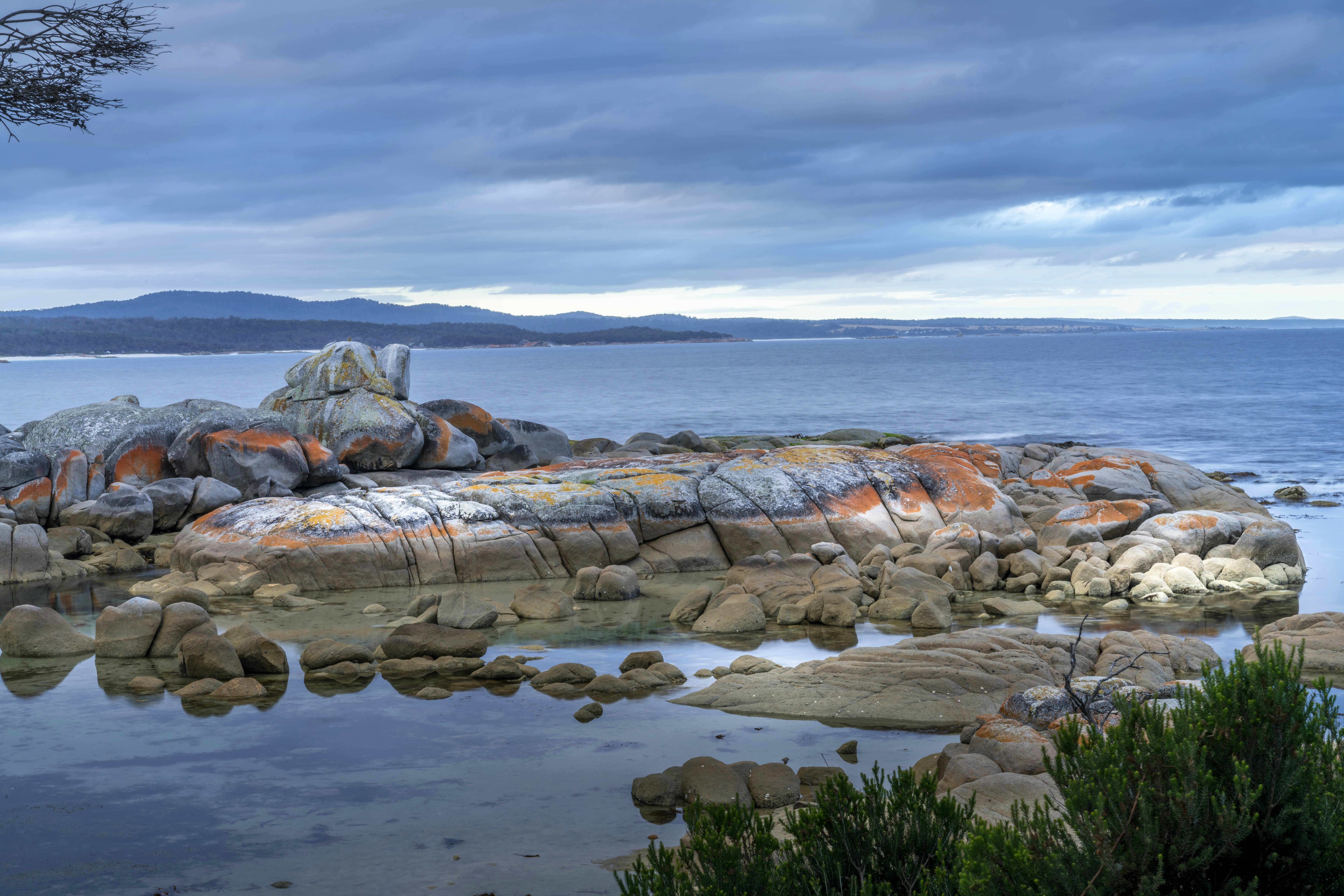 Costa rocosa con líquenes naranjas y mar en calma