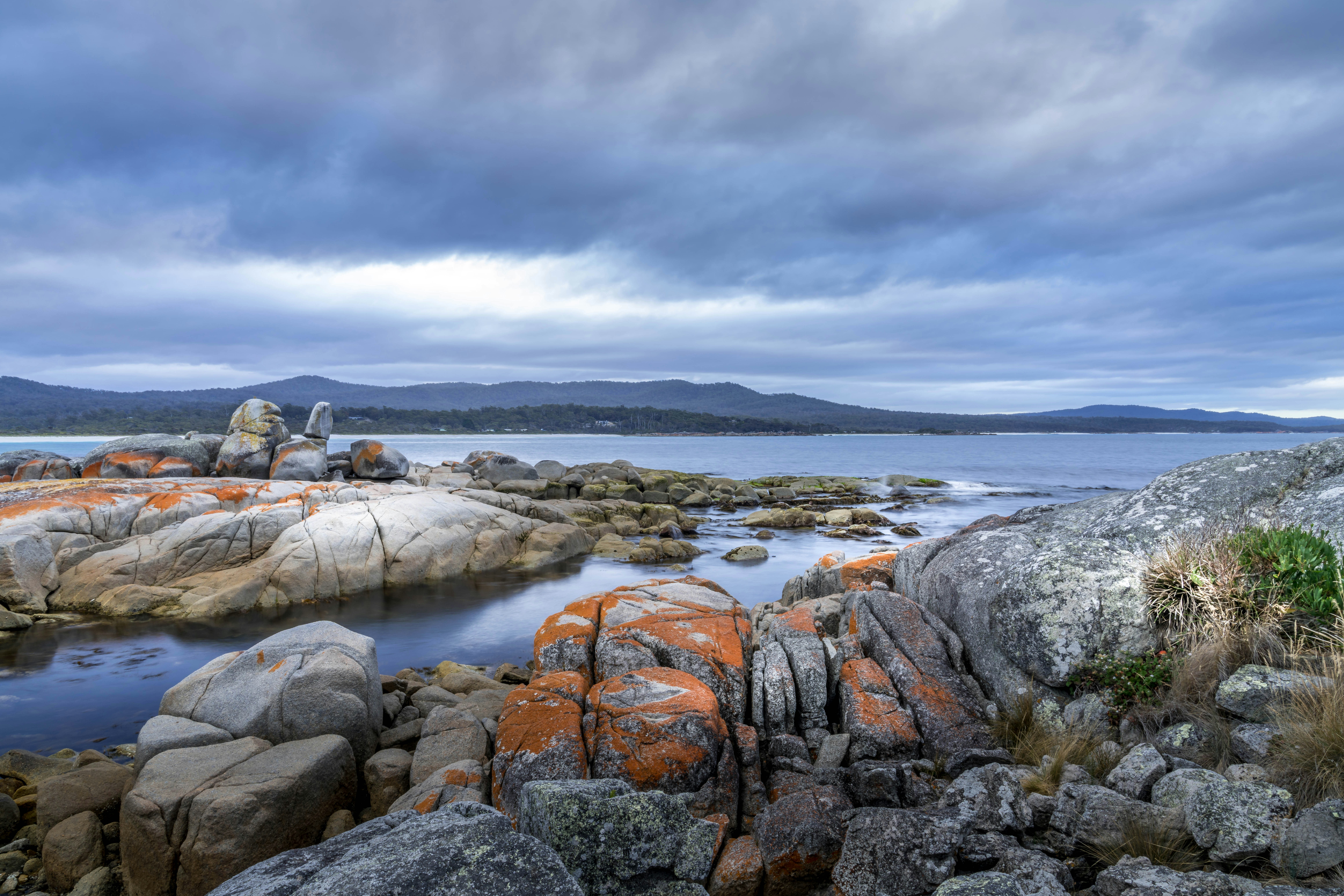 Photo by blaireddieau