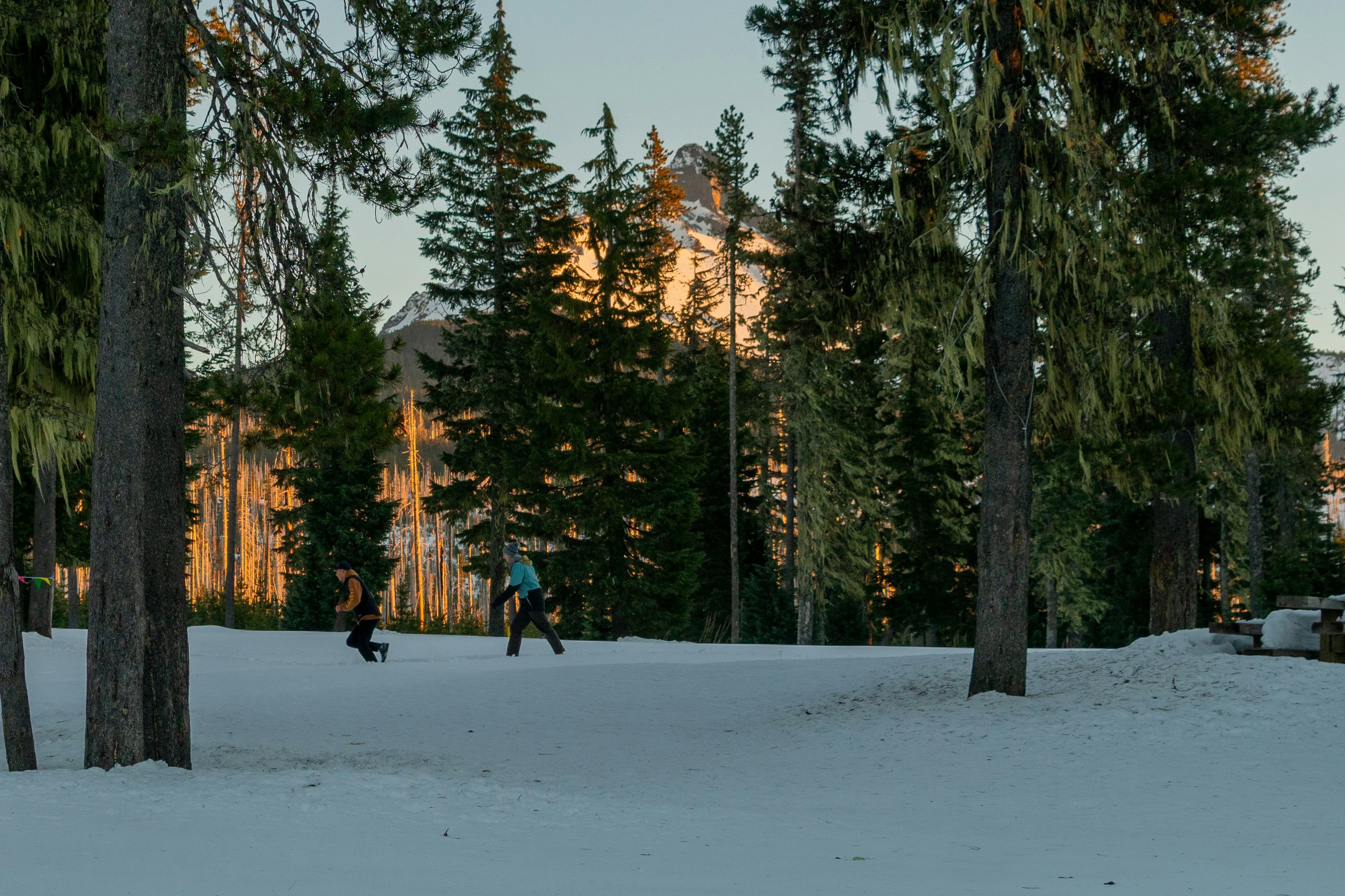 木の近くの雪の中で遊ぶ二人