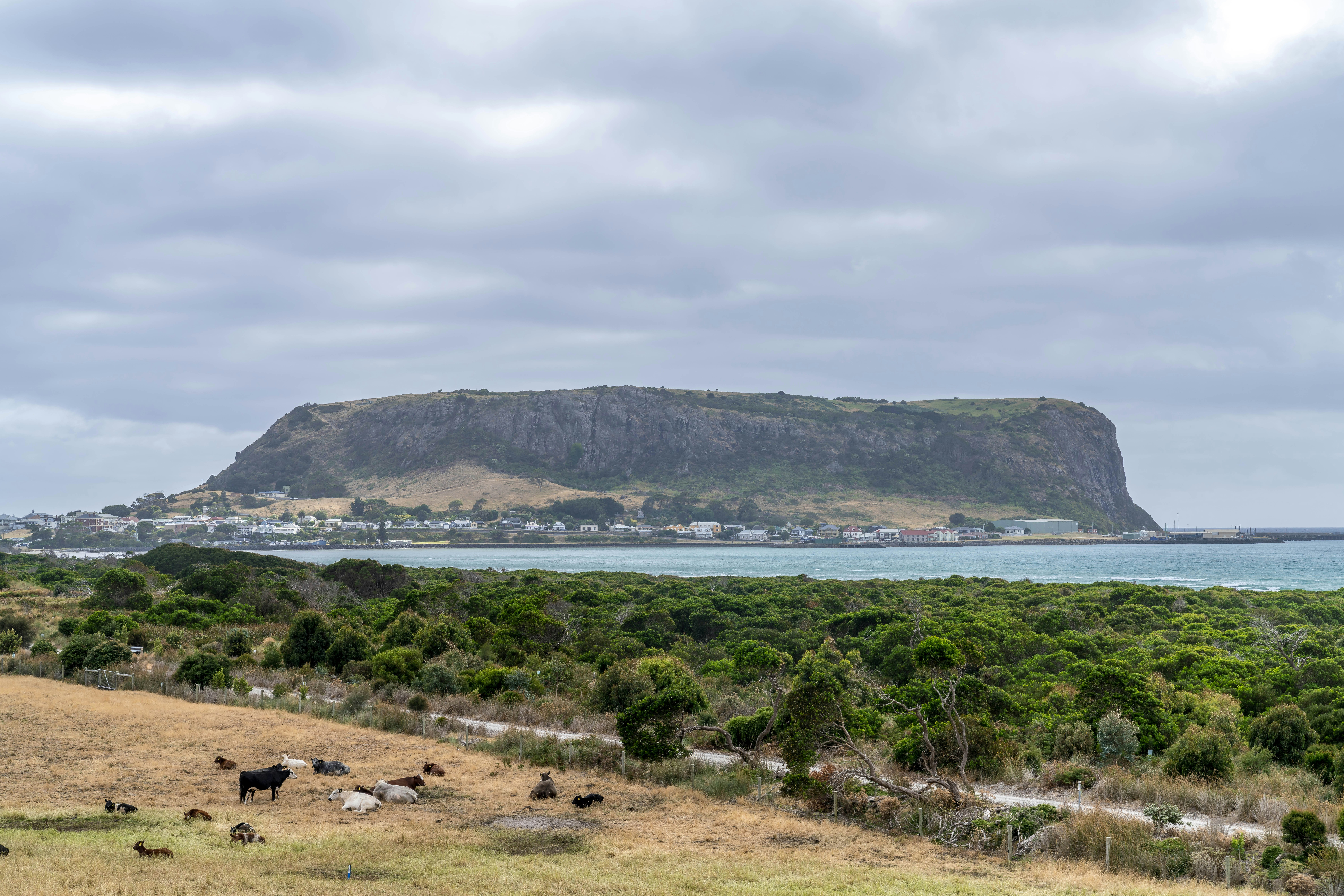 Montaña de cima plana domina la ciudad costera y el paisaje verde