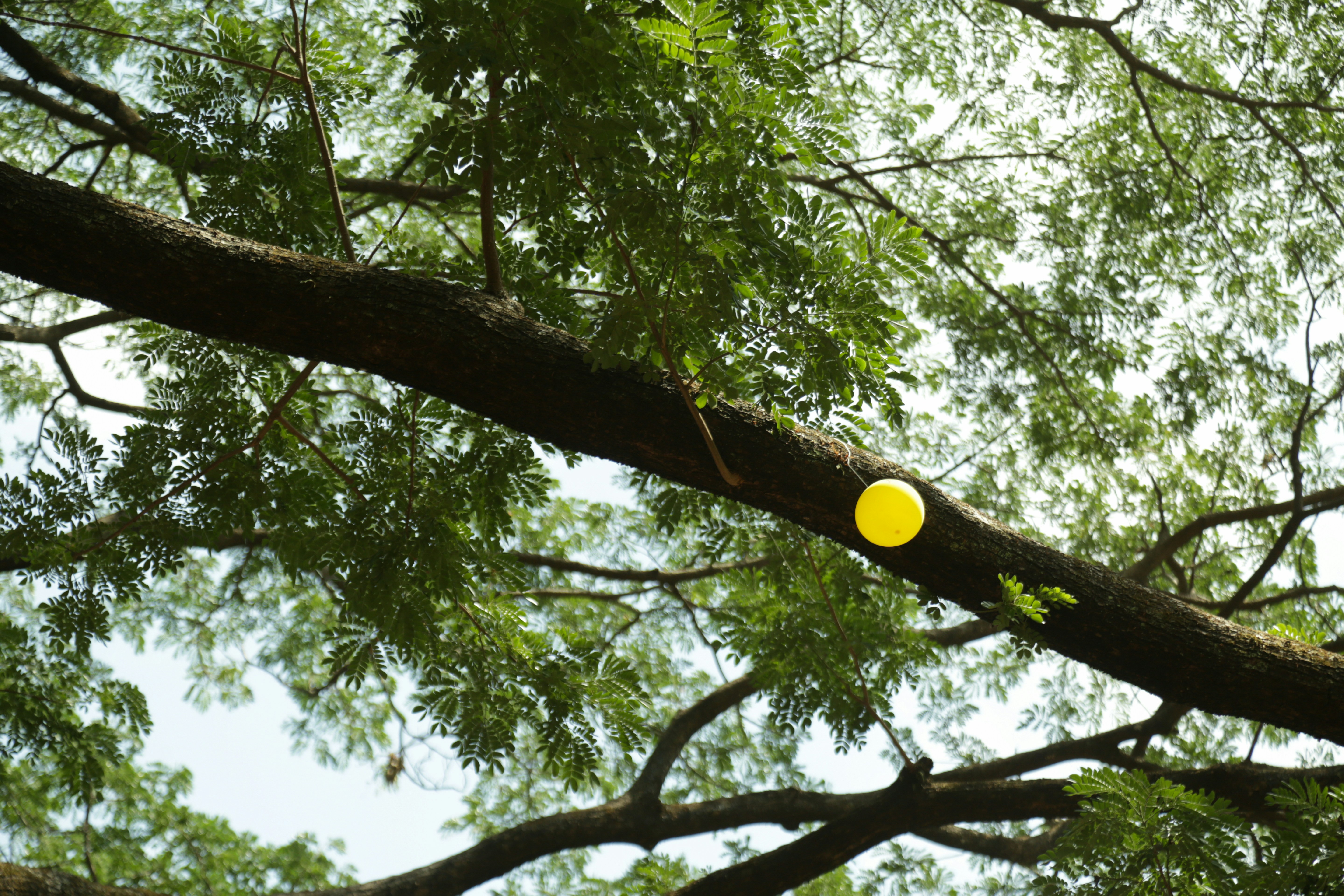 Photo by aiswarya_anil