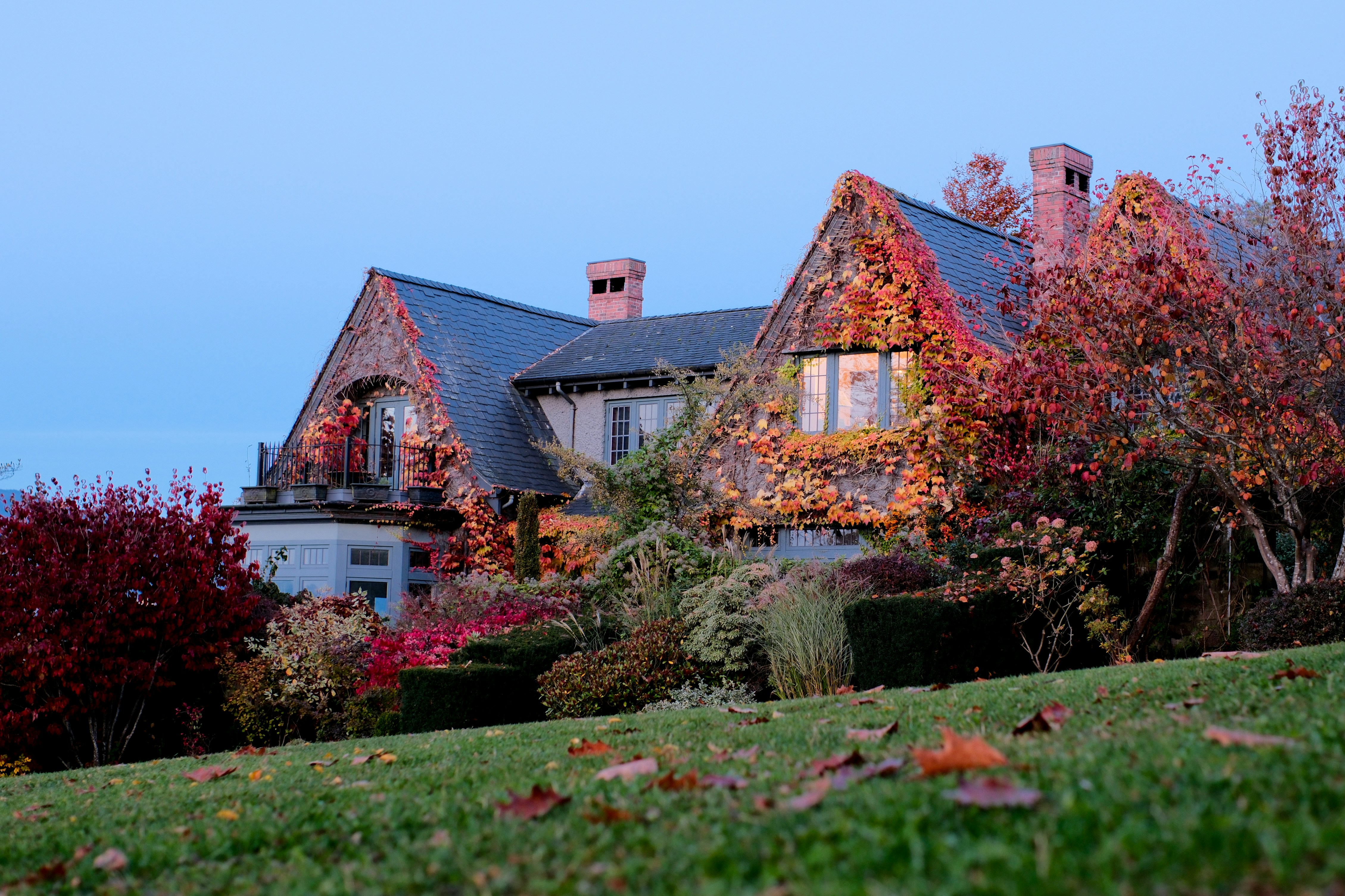 Tudor style house covered in autumn foliage.