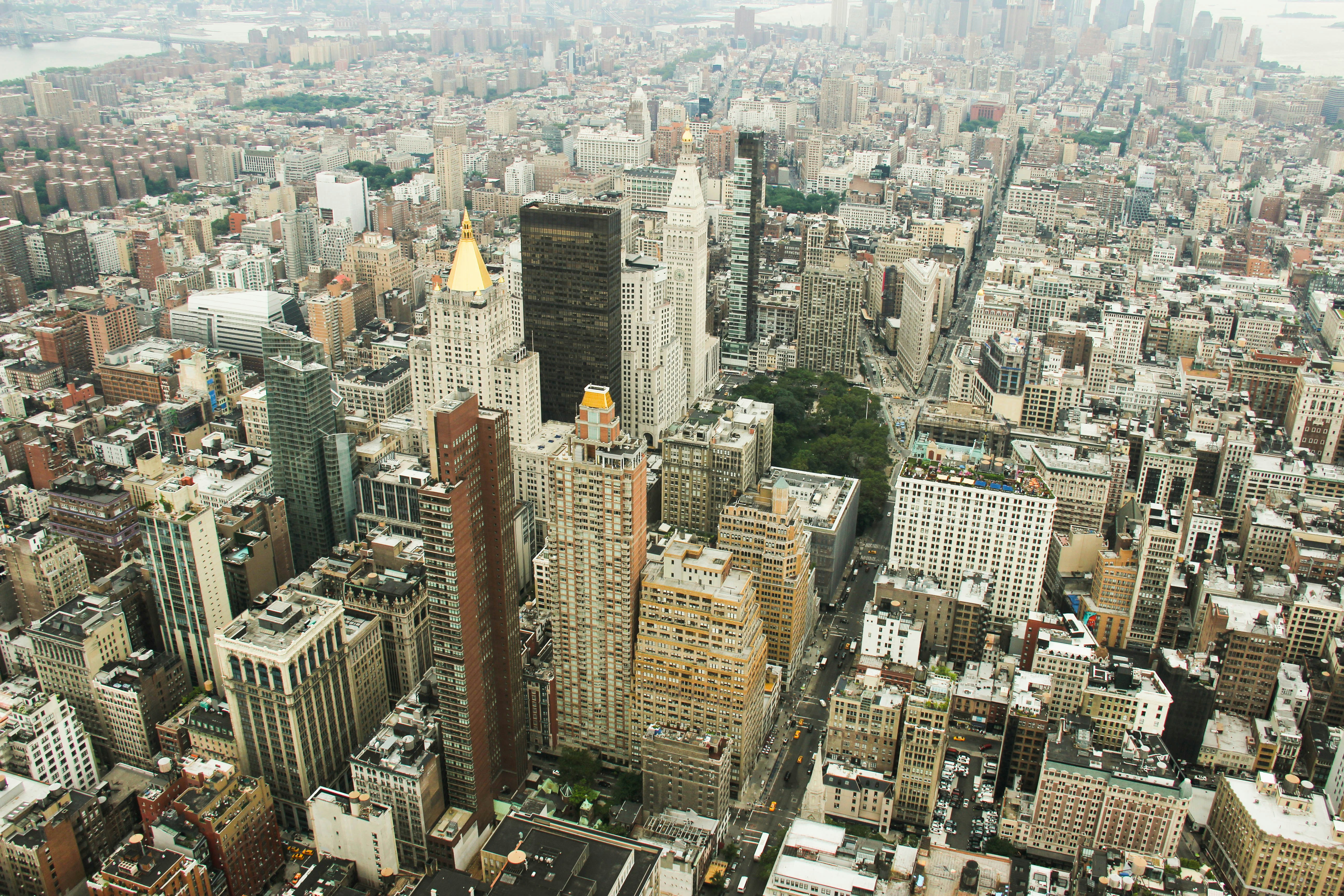 New York City tips: Navigating the Concrete Jungle