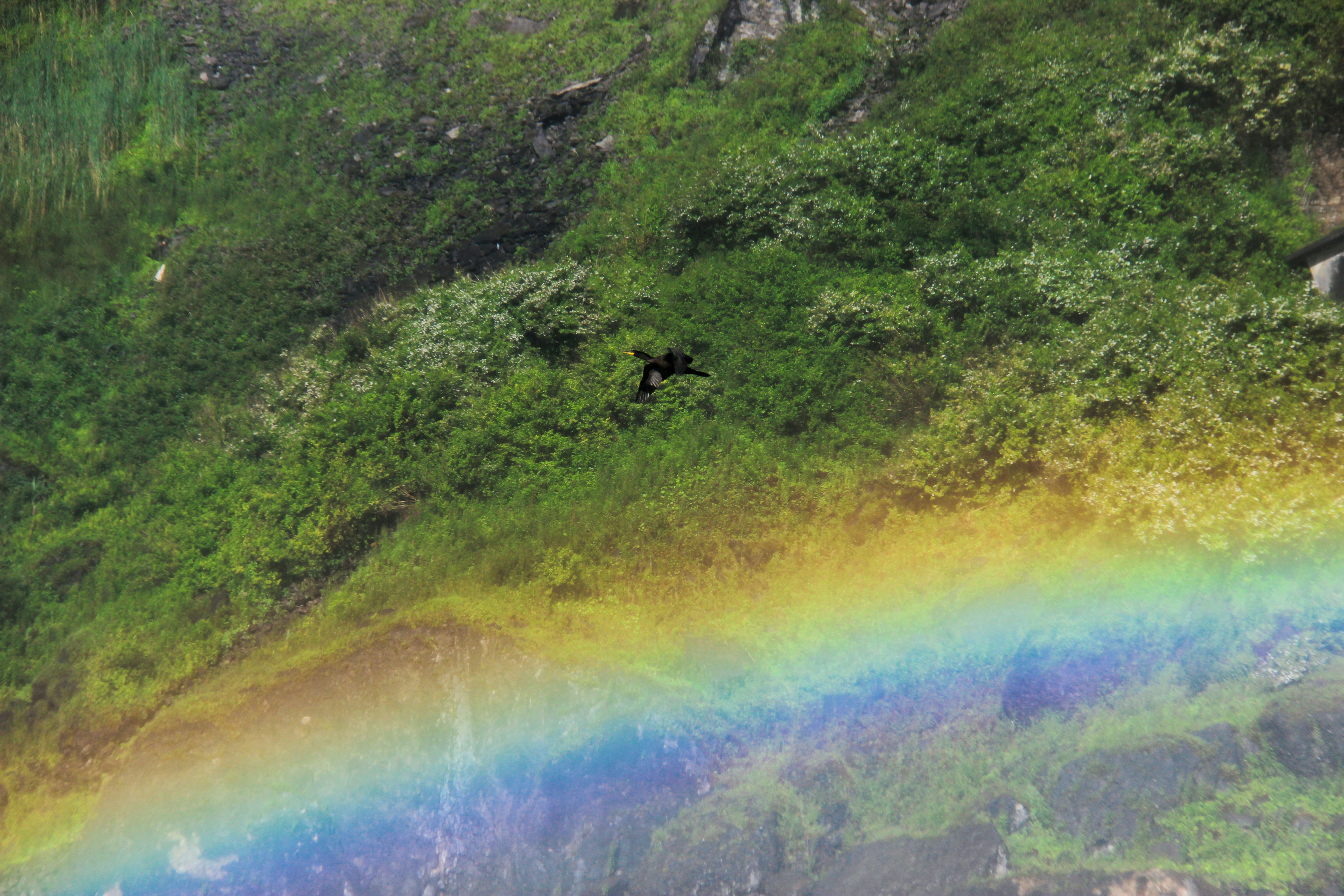 A rainbow forms near a lush green hillside.