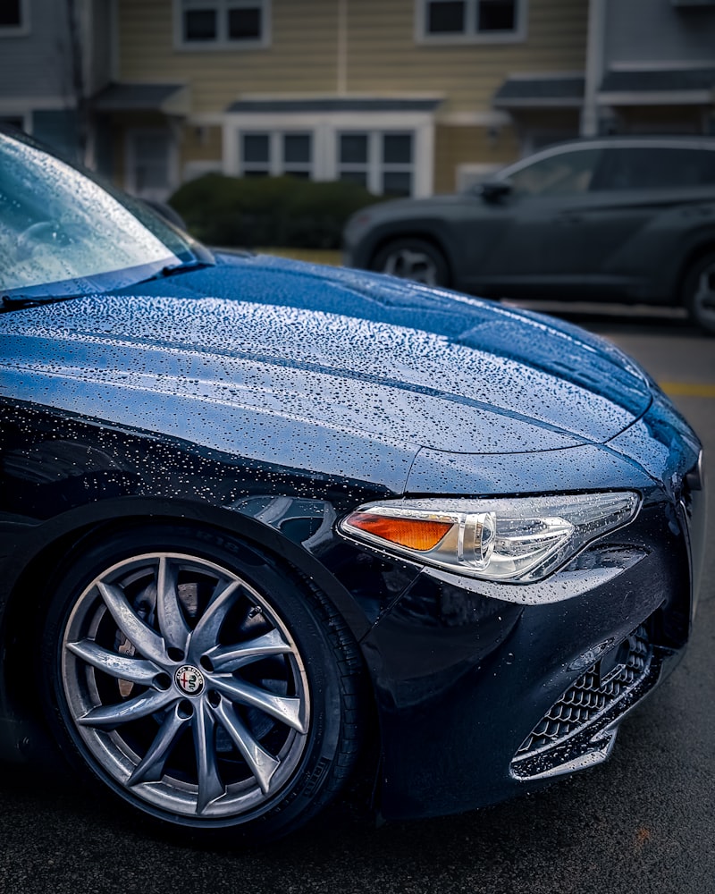 Water spots and mineral deposits beading on a car's hood and fender