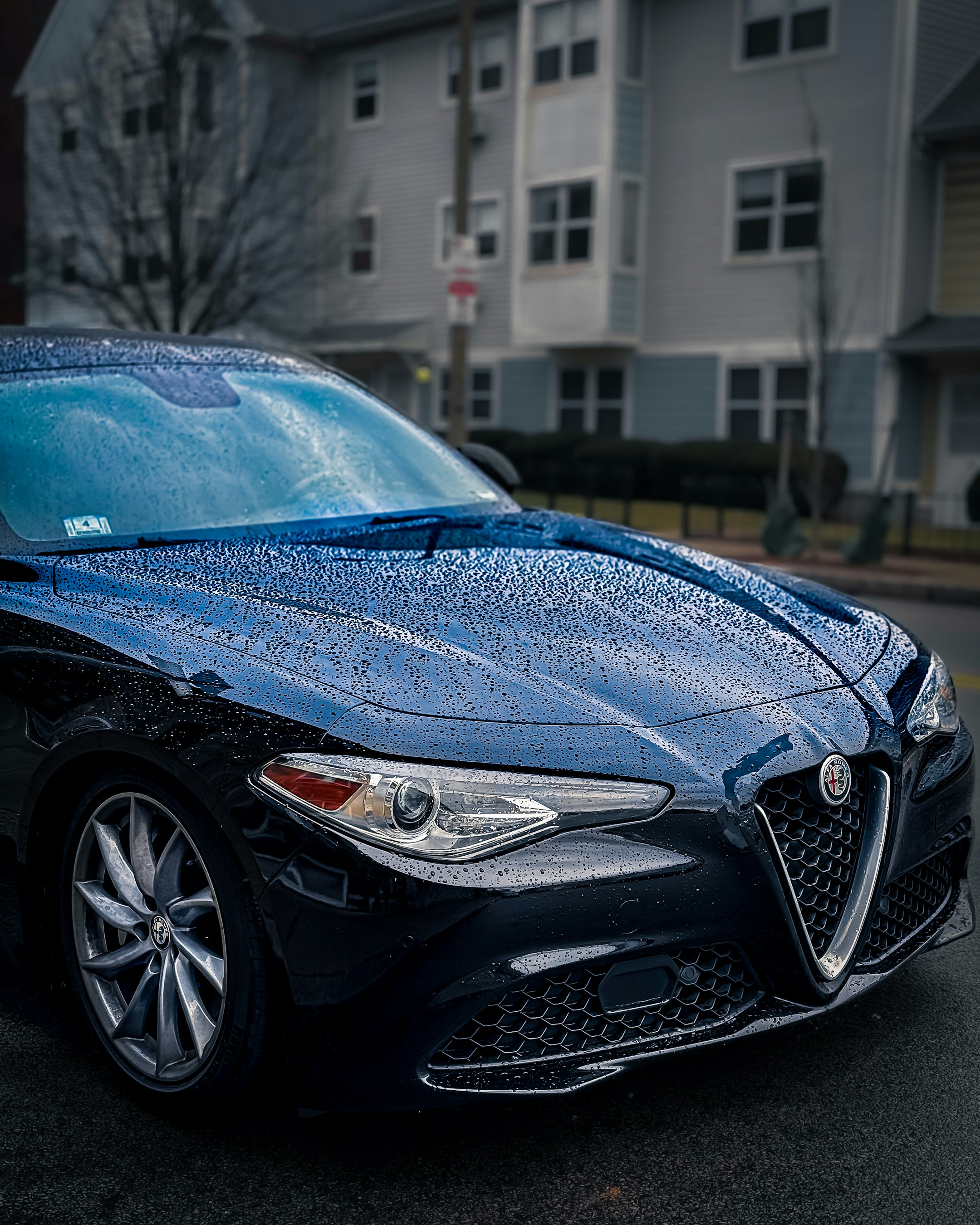 Photo by choudhary_abhinav